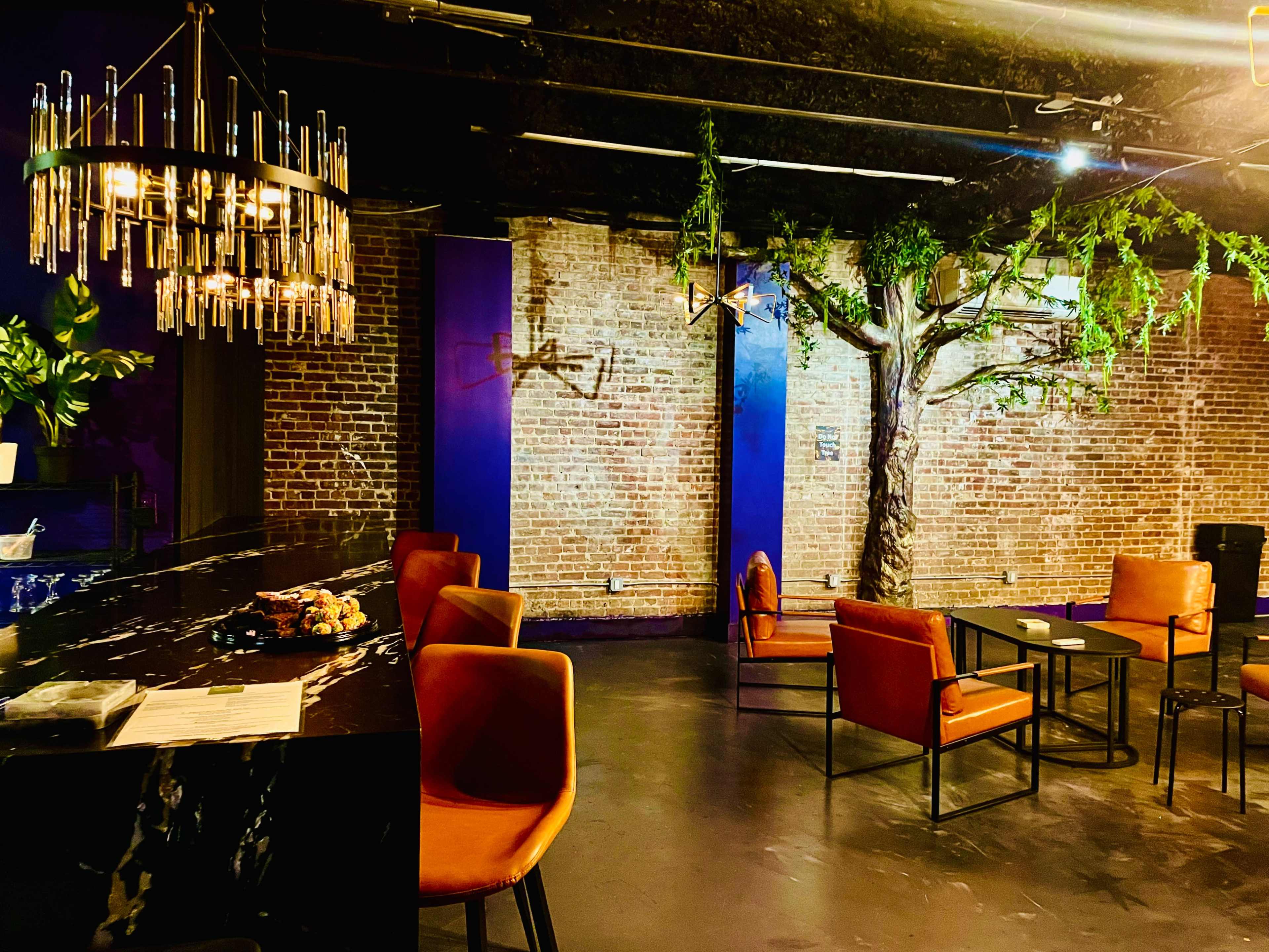 Private Brooklyn Lounge w/ Botanical Bar + String-Lit Backyard Vibe Image in Bedford-Stuyvesant, Brooklyn, NY