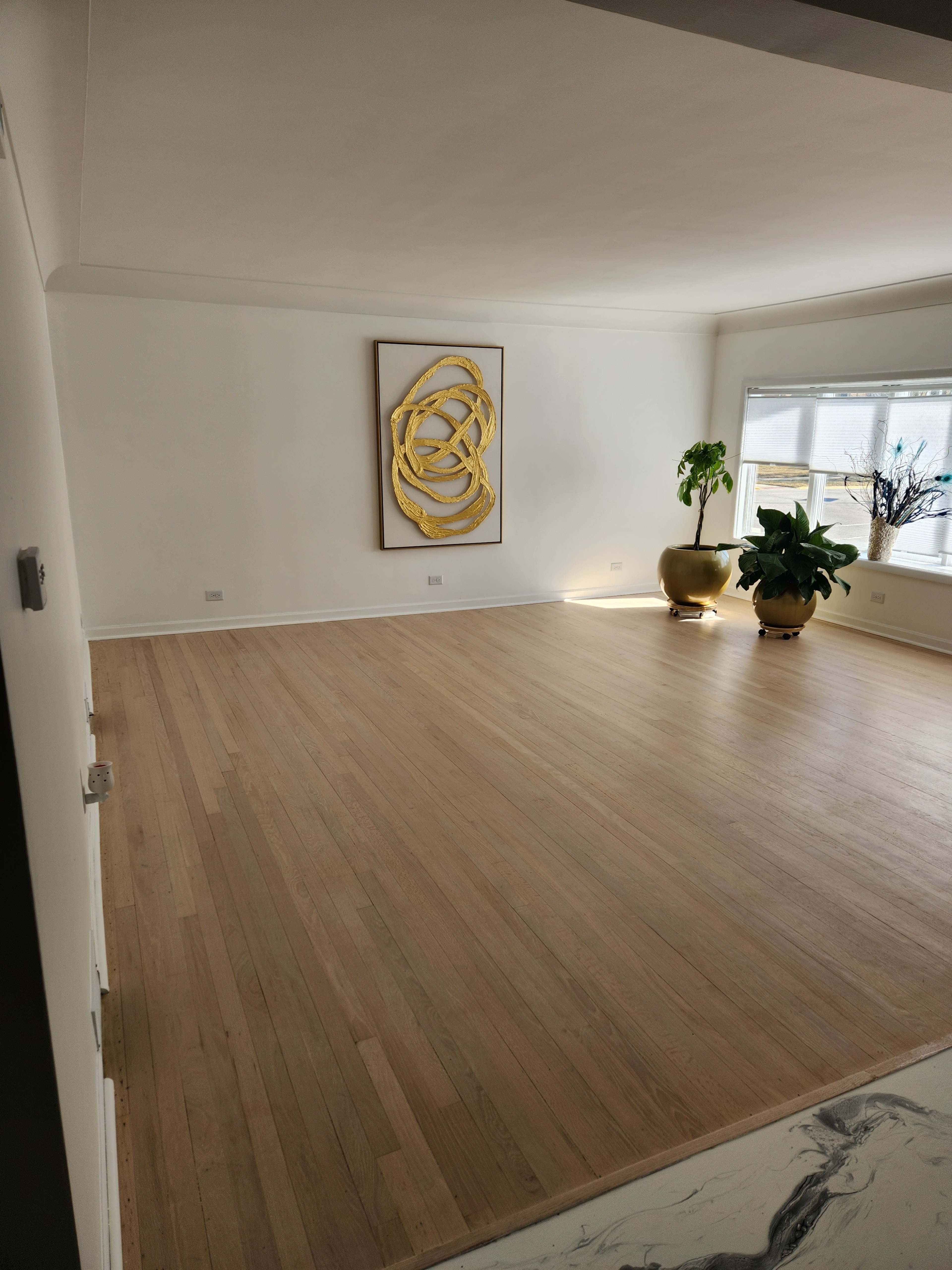 The image shows a spacious, empty room with wooden flooring, a large wall painting, a plant in a pot, and a window.