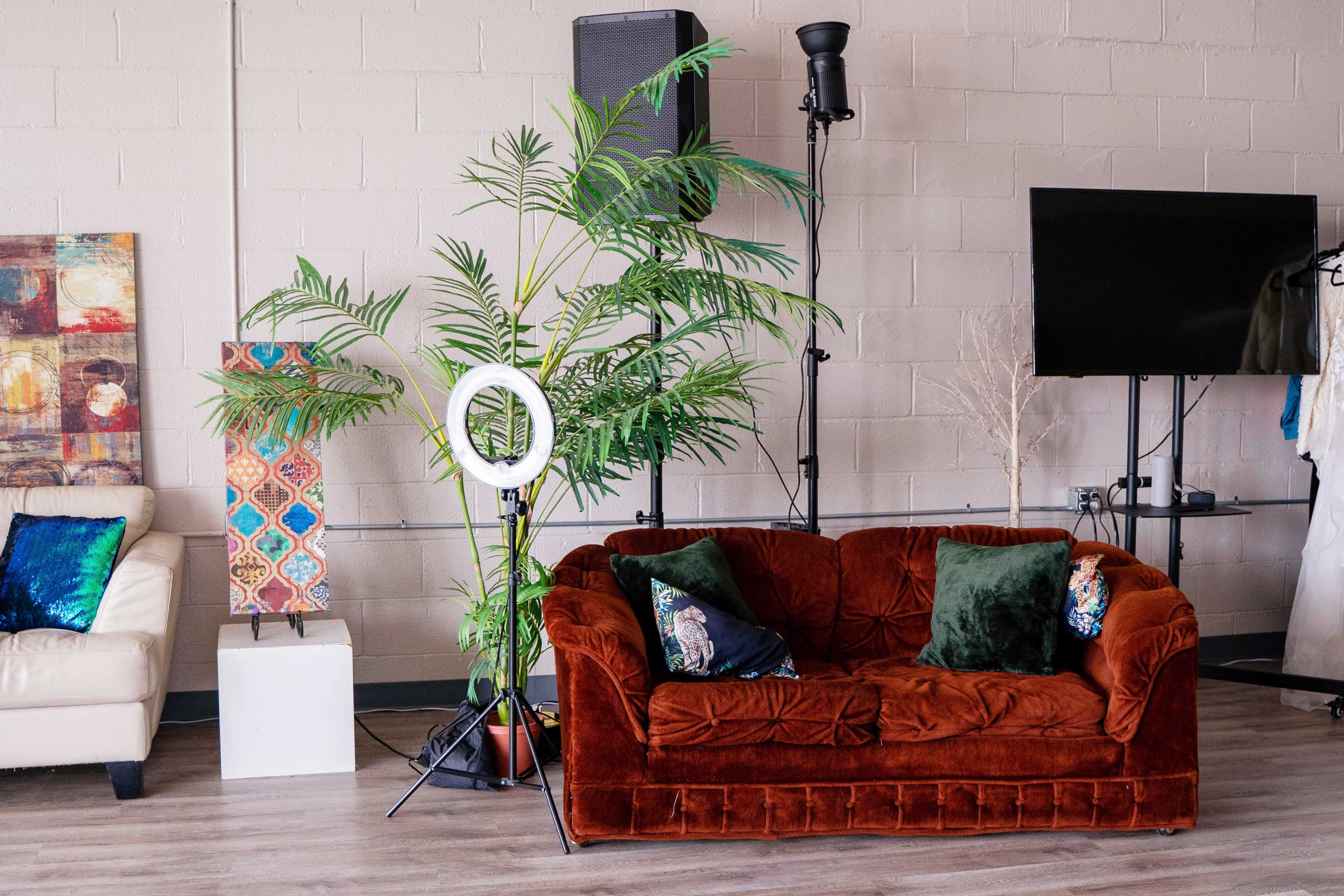 A cozy seating area with a rust-colored sofa surrounded by a potted plant, a ring light, a television on a stand, and decorative wall art.