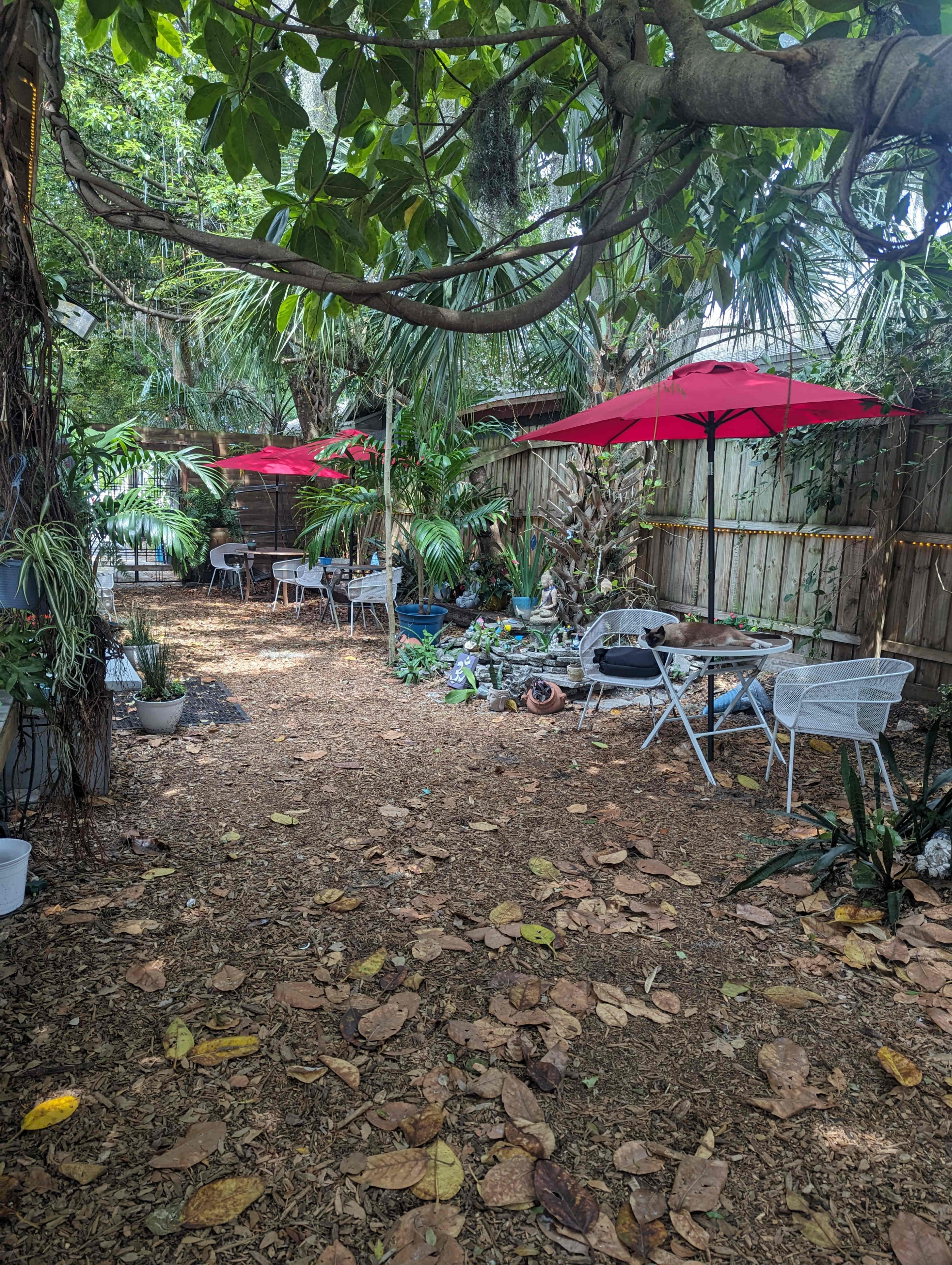 The image shows a backyard garden area with scattered leaves, two red umbrellas over tables, and lush greenery along a wooden fence.