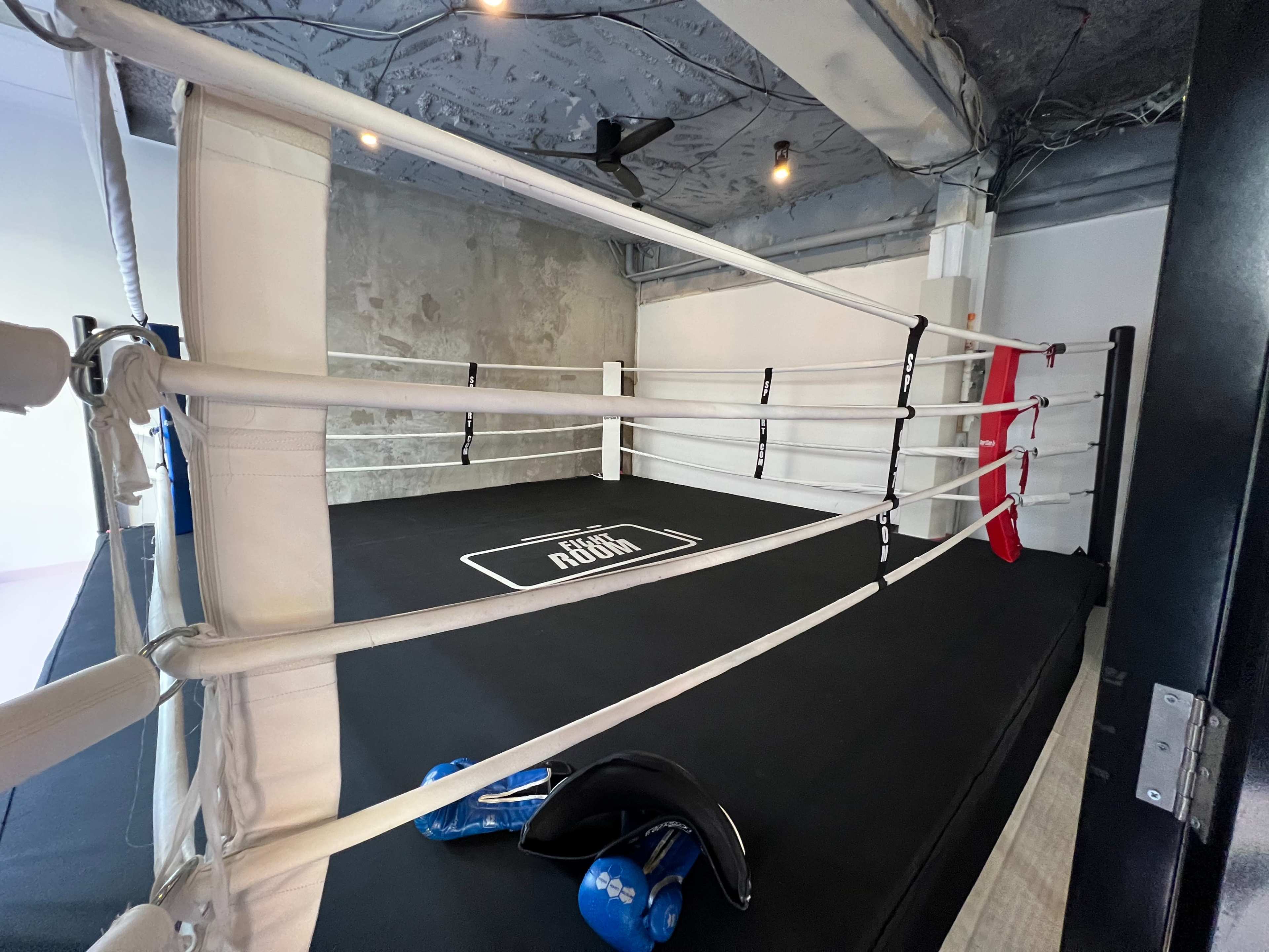 The image shows a boxing ring with white ropes and a black mat in a gym setting, accompanied by training equipment on the floor.