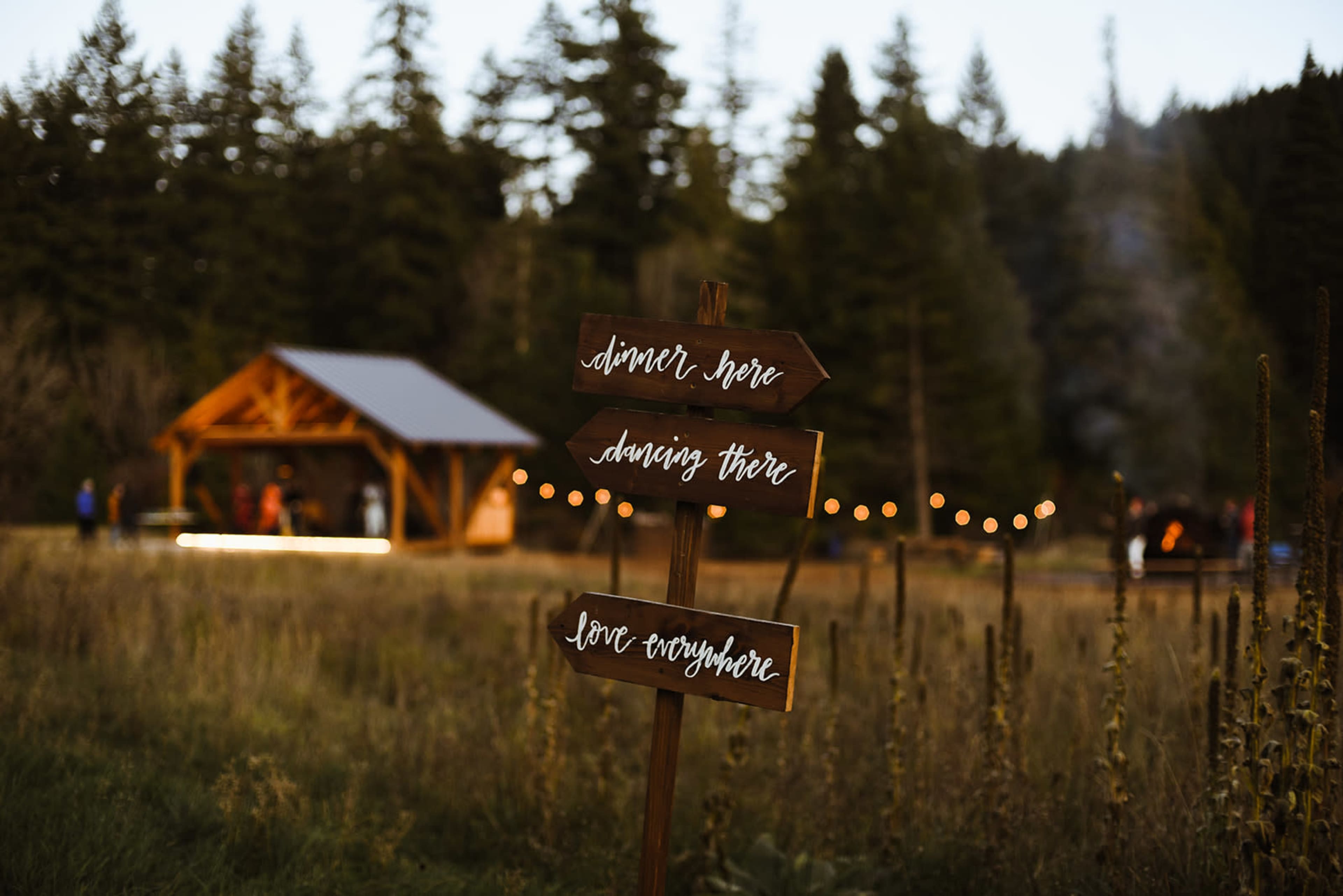 A wooden sign with directional arrows points to areas for dinner, dancing, and love, with a rustic pavilion and trees in the background.