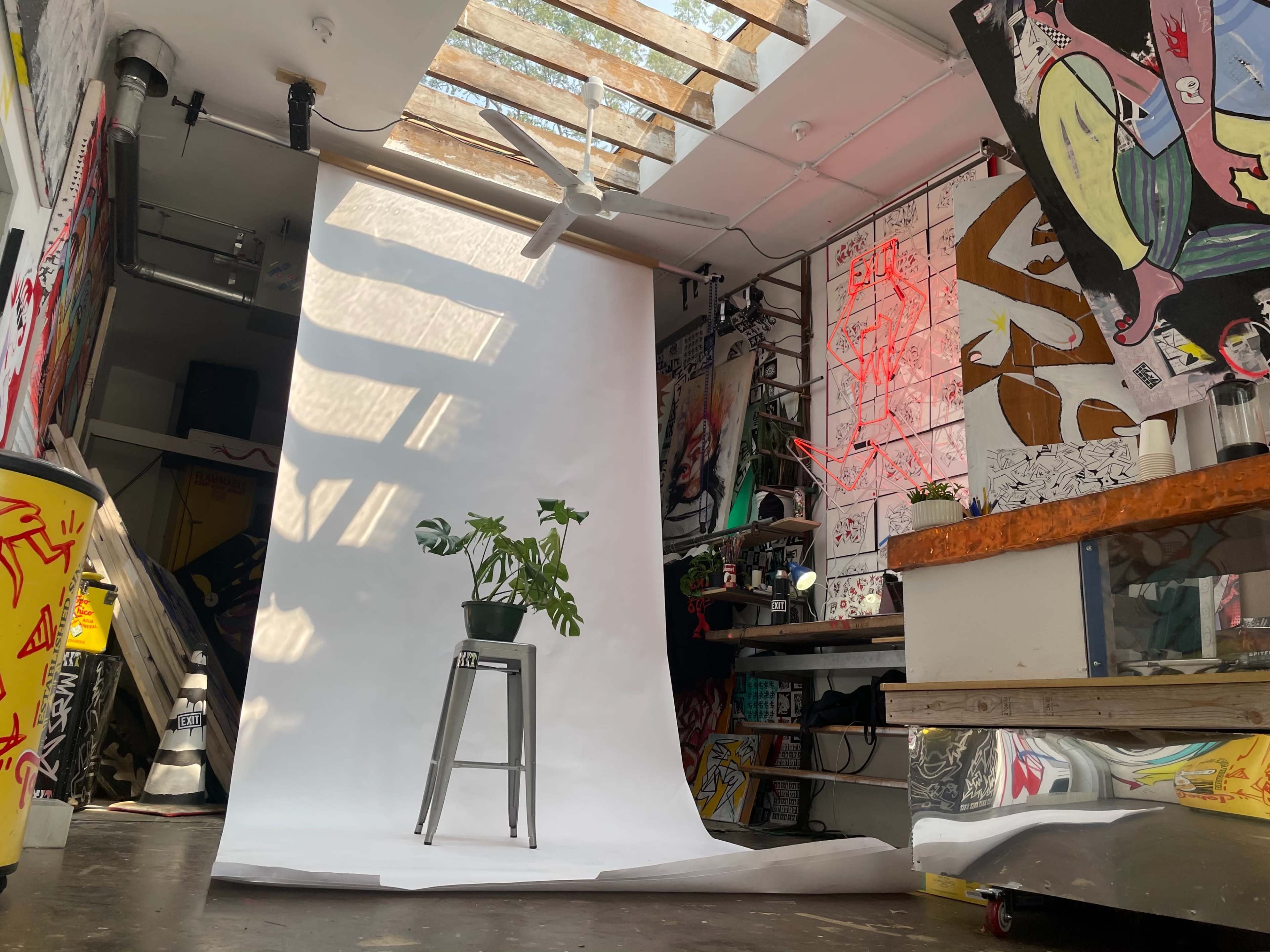 The scene shows a photography studio with a white backdrop, a potted plant on a stool, and various colorful artworks and cluttered surfaces surrounding the area.