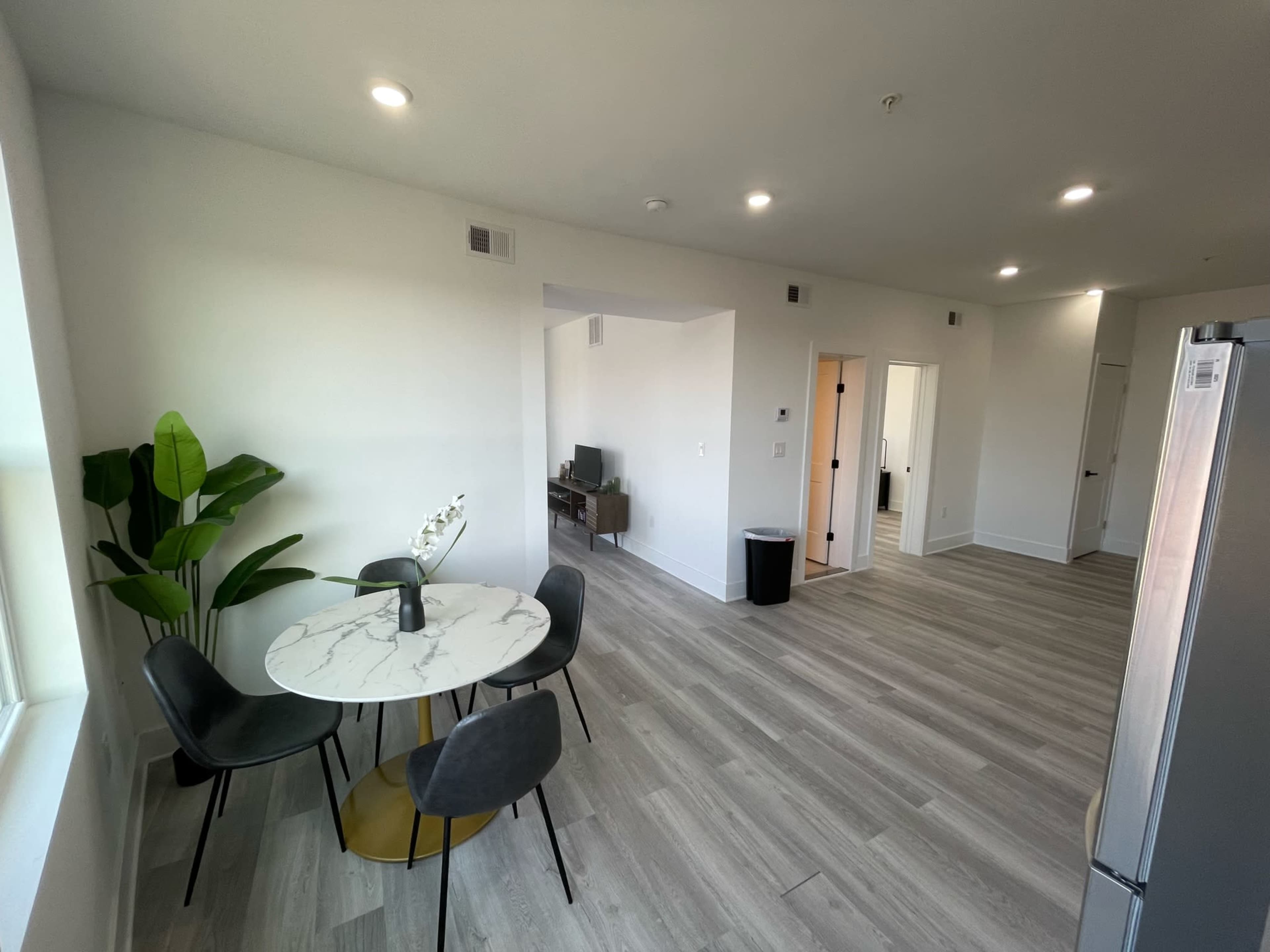 A modern, open-concept living space with a dining table, a leafy plant, a television stand, and a kitchen area.