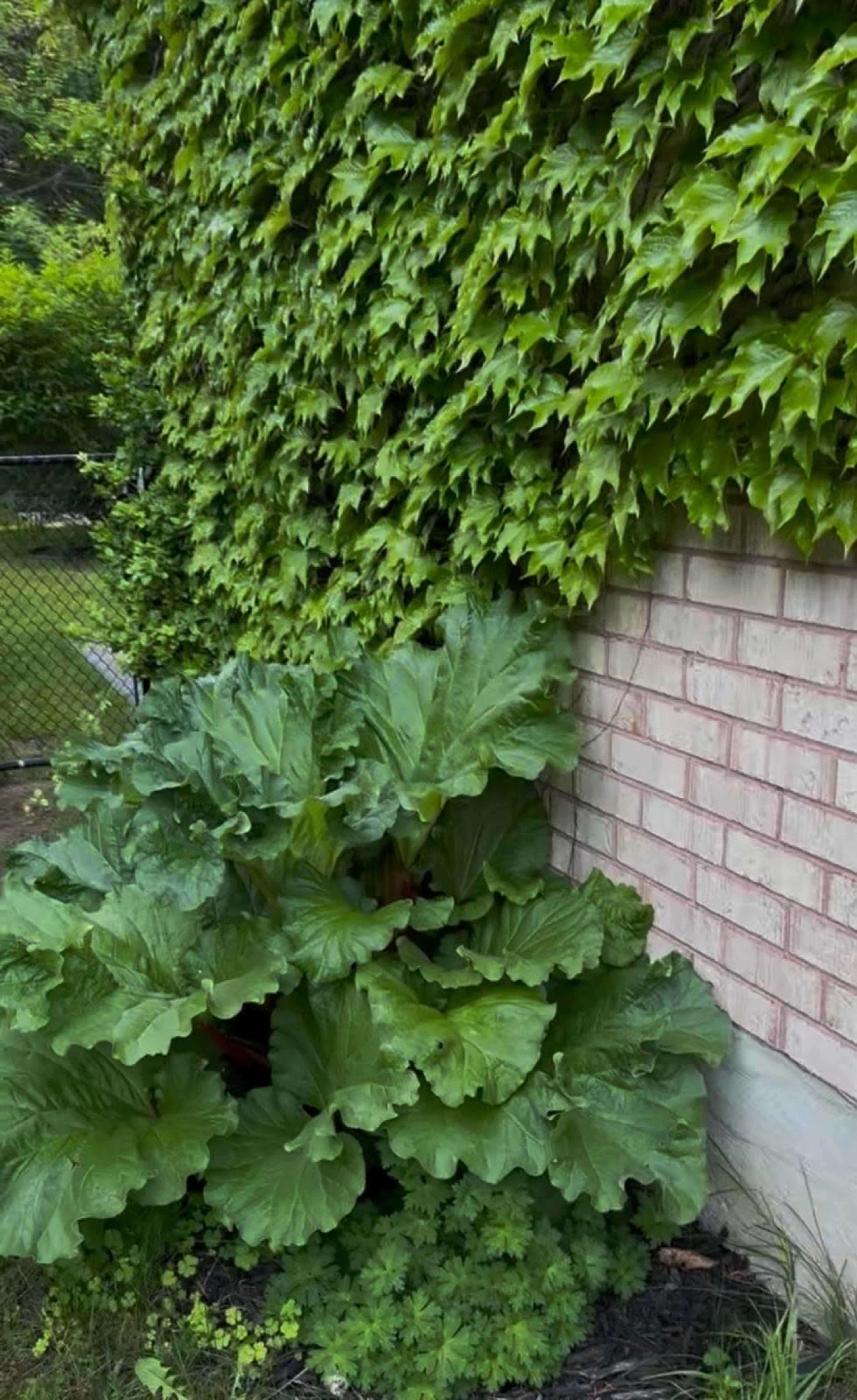 Stylish Contemporary Home with Natural Light & Elegant Staircase Image in Stonehaven, Newmarket, ON