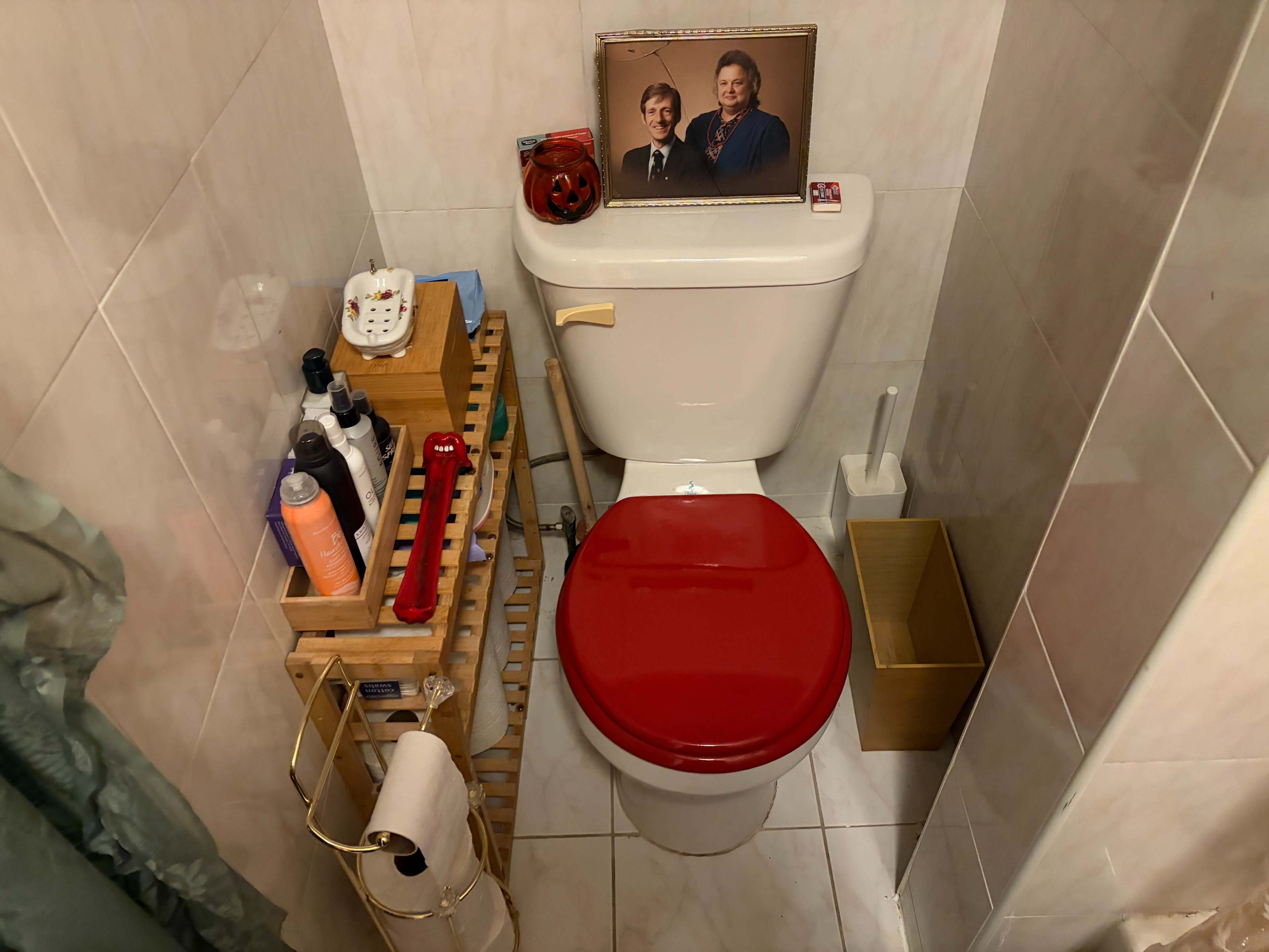 The image shows a bathroom with a toilet featuring a red seat, a framed portrait on top, and a wooden shelf beside it holding various toiletries.