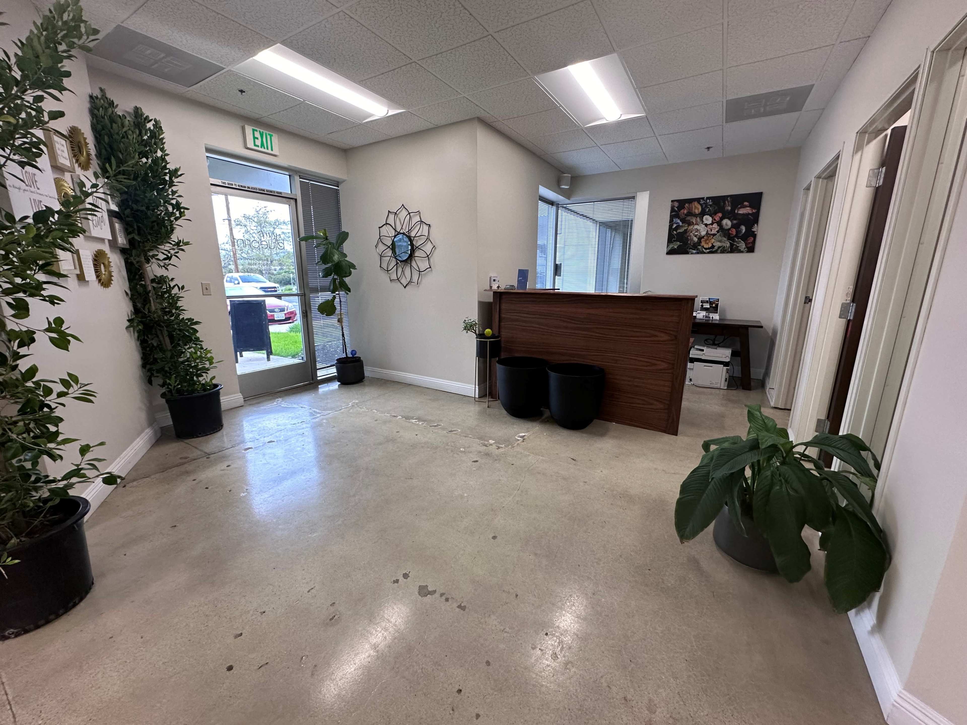 A reception area with a wooden desk, plants in black pots, and a large window allowing natural light.