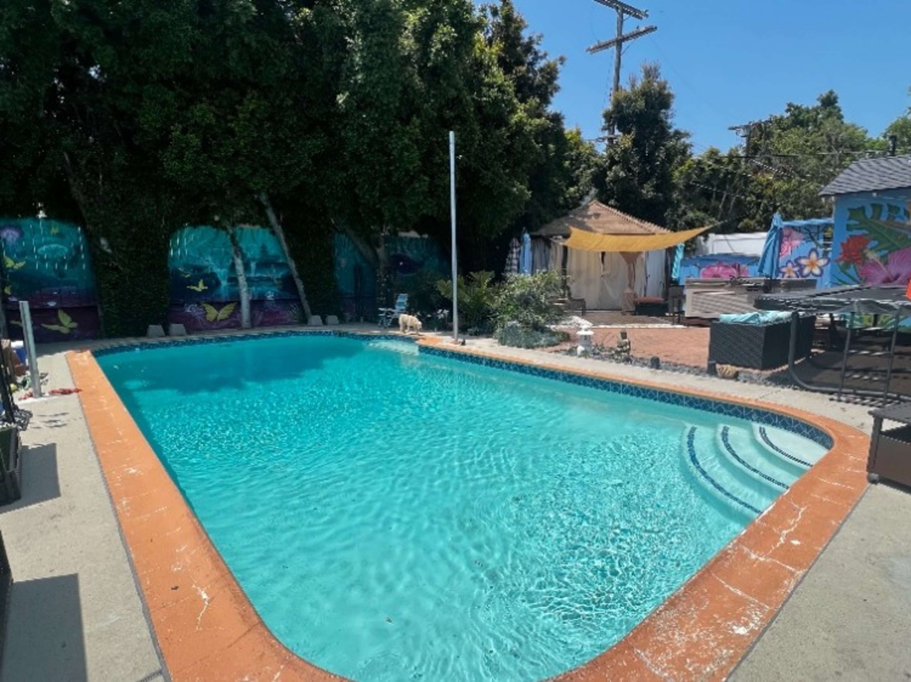 Pool for Use