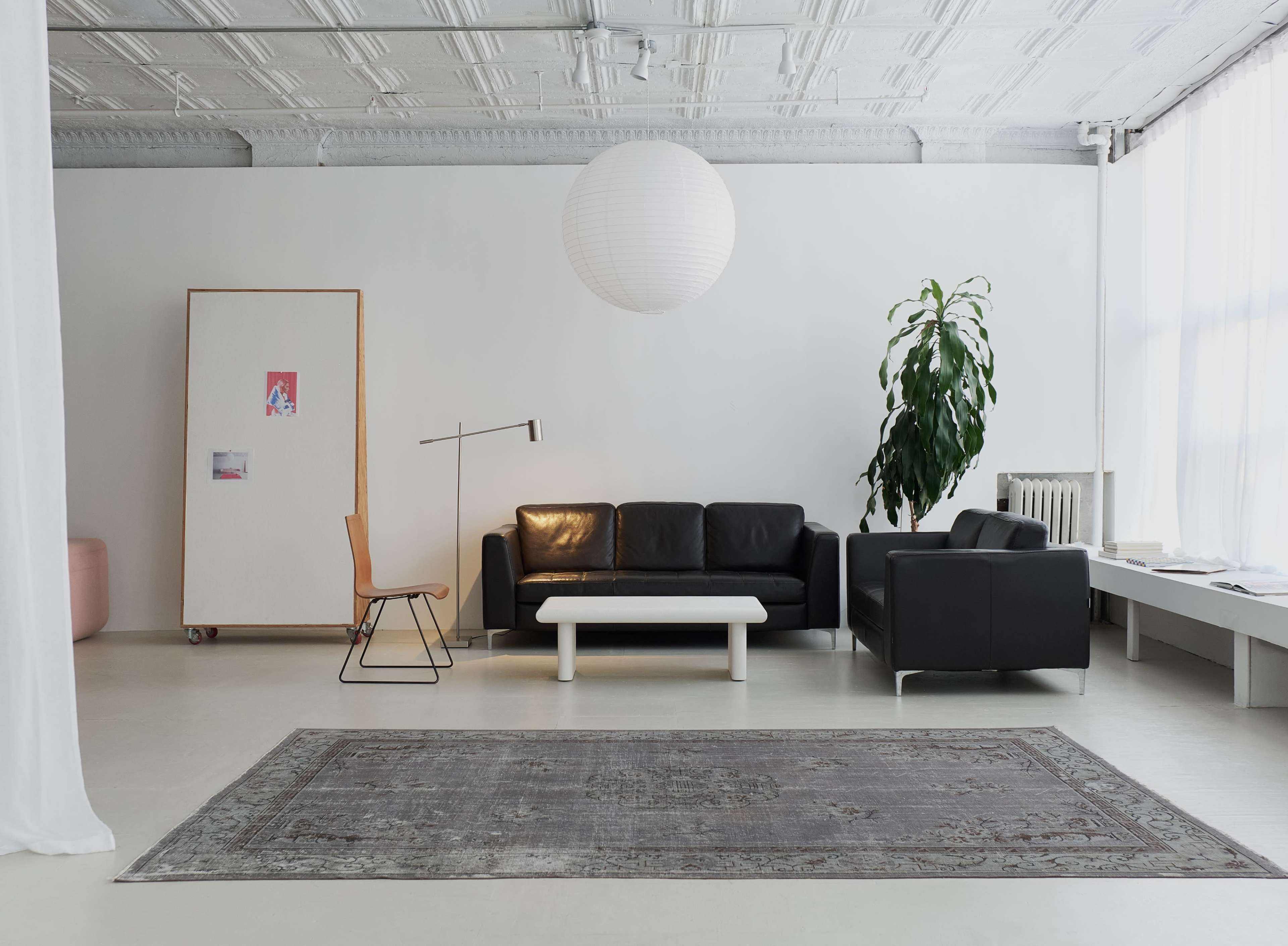 The image shows a modern, minimalist living room featuring a black leather sofa, a small white coffee table, a simple chair, and a tall green plant against a light-colored backdrop.