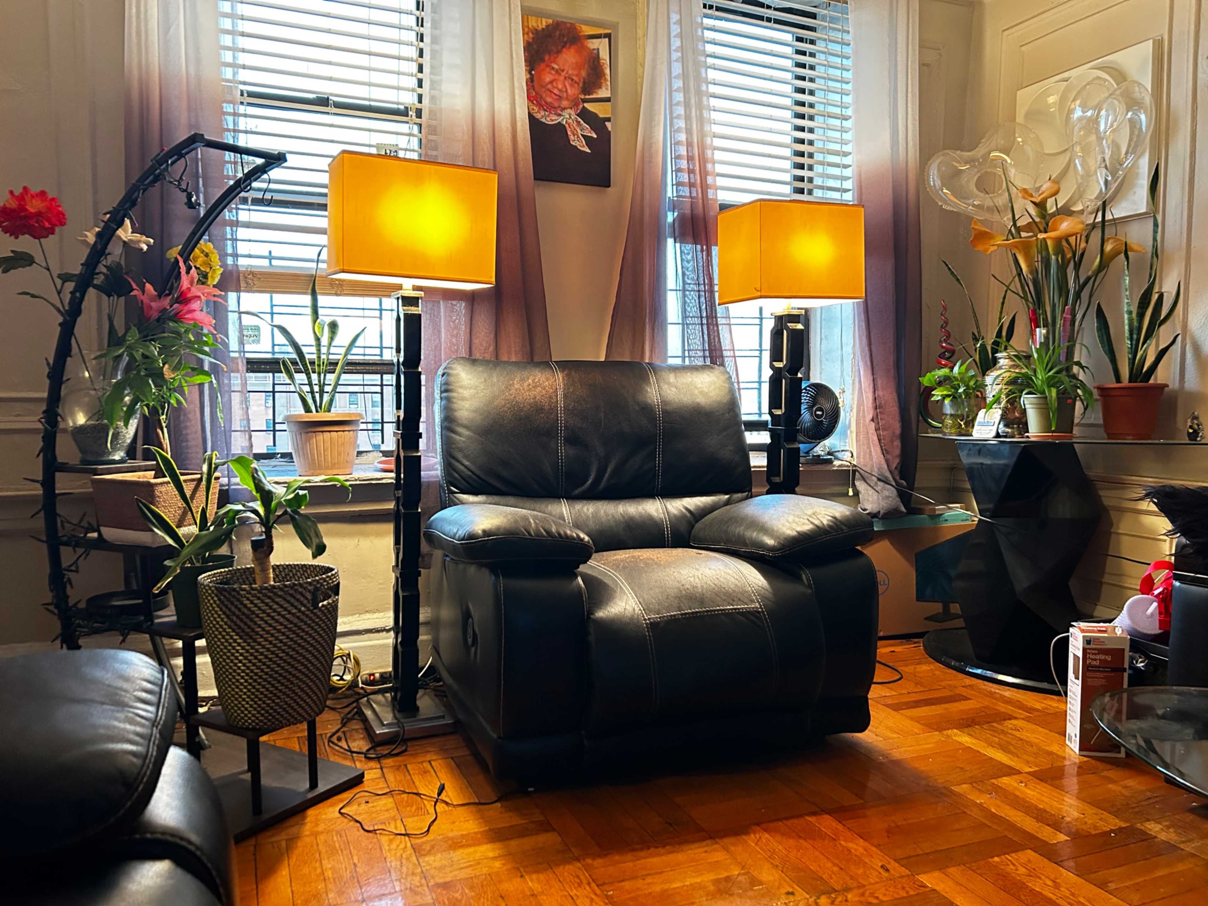 A living room with a black leather recliner, two lamps, various potted plants, and a glossy black side table.