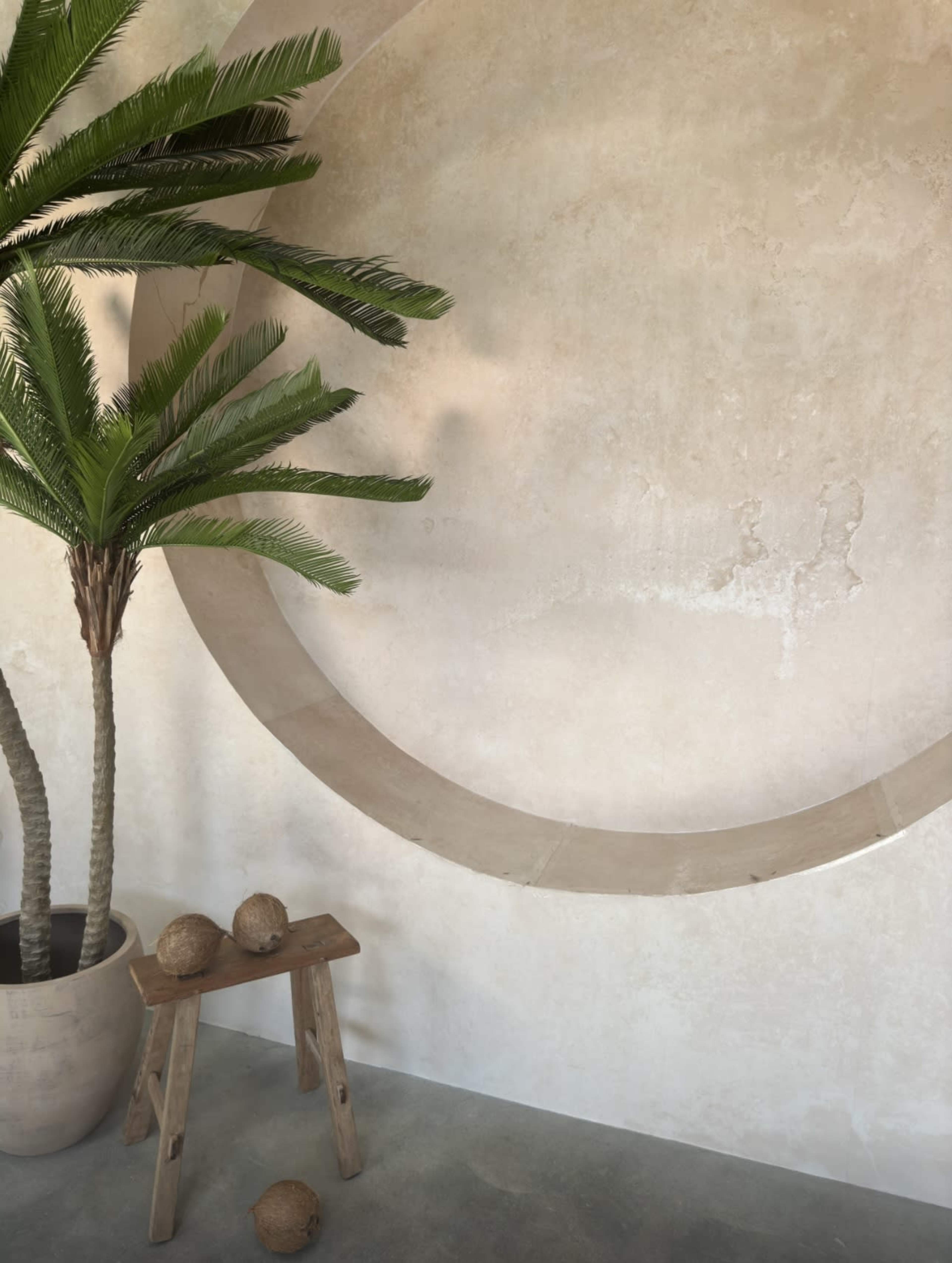 A potted palm tree stands beside a wooden stool holding three coconuts, against a textured, light-colored wall with a circular stone feature.