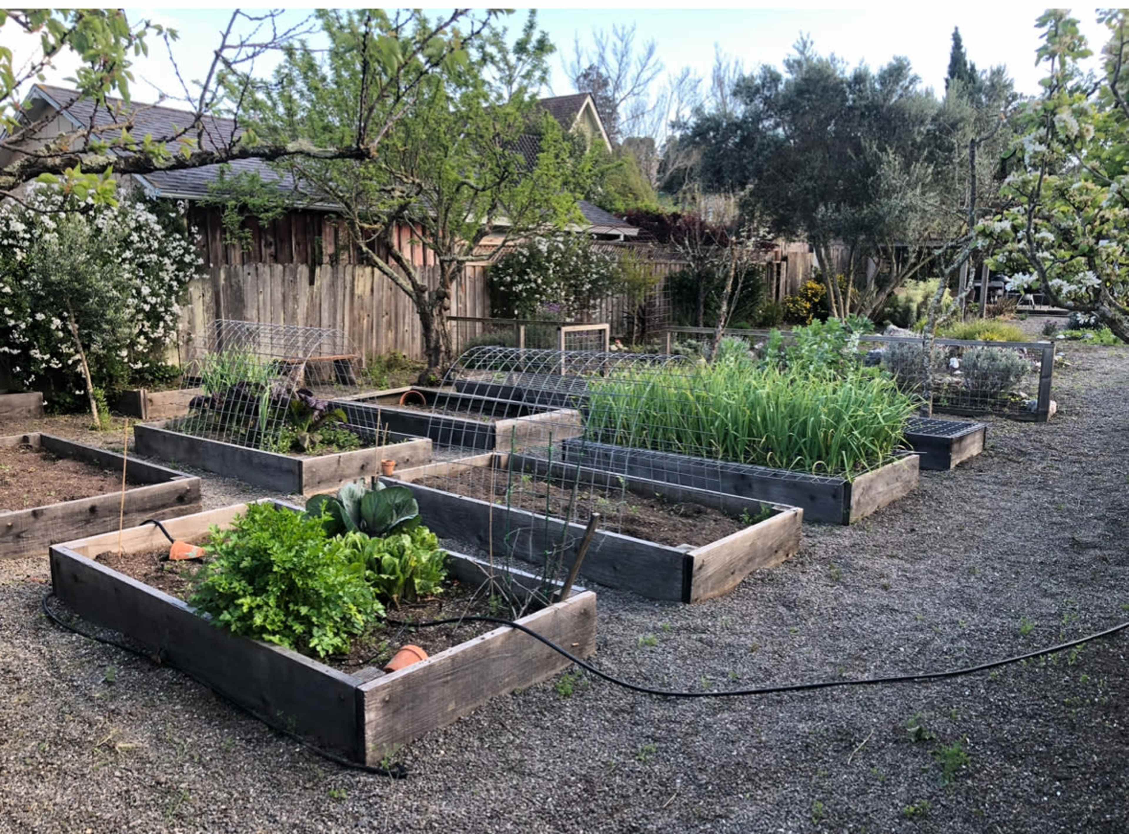 Urban farm Image in Petaluma, Petaluma, CA