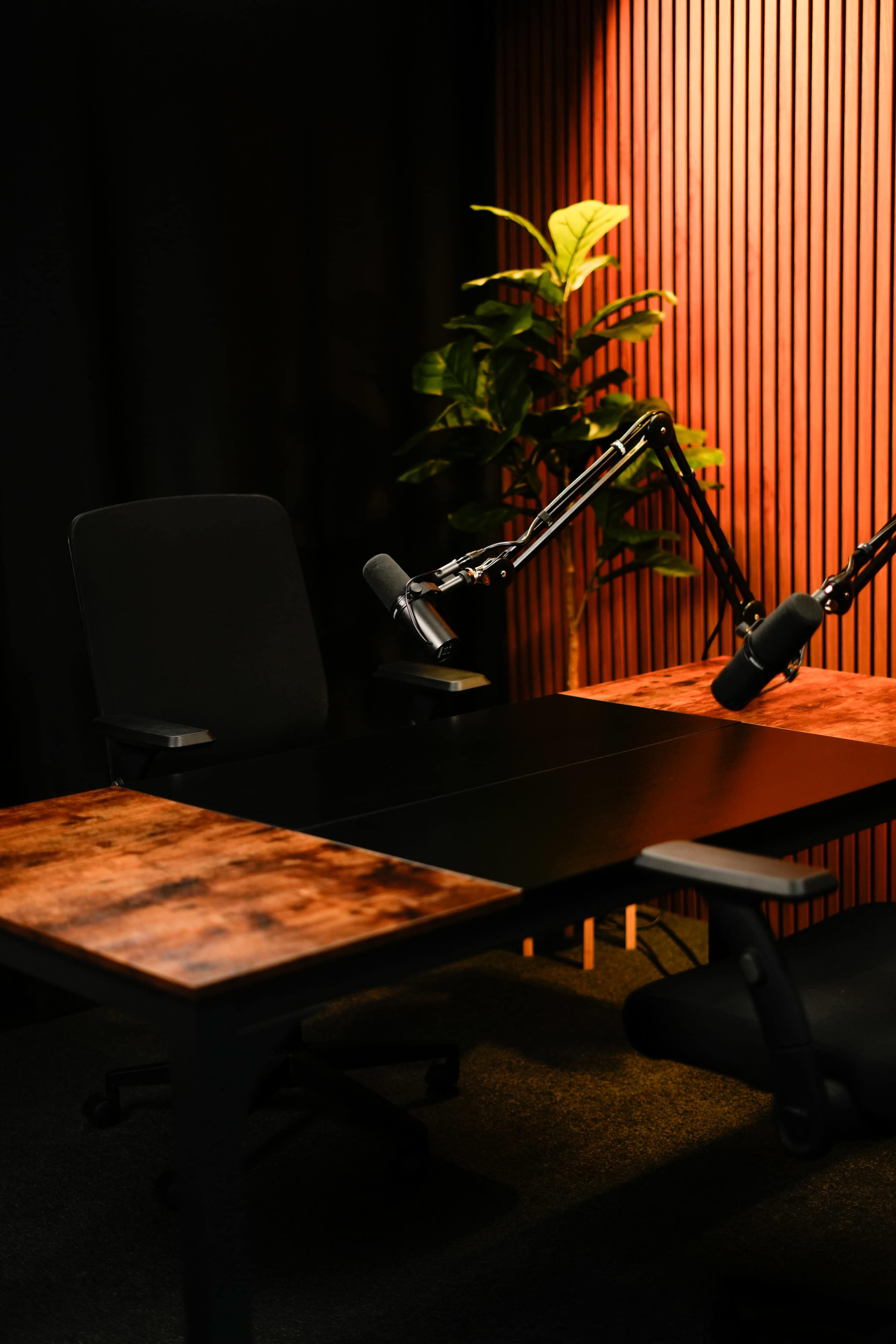 A podcast recording studio features a sleek black table, two chairs, and microphones mounted on adjustable arms, illuminated by warm lighting and accented by a leafy plant in the background.