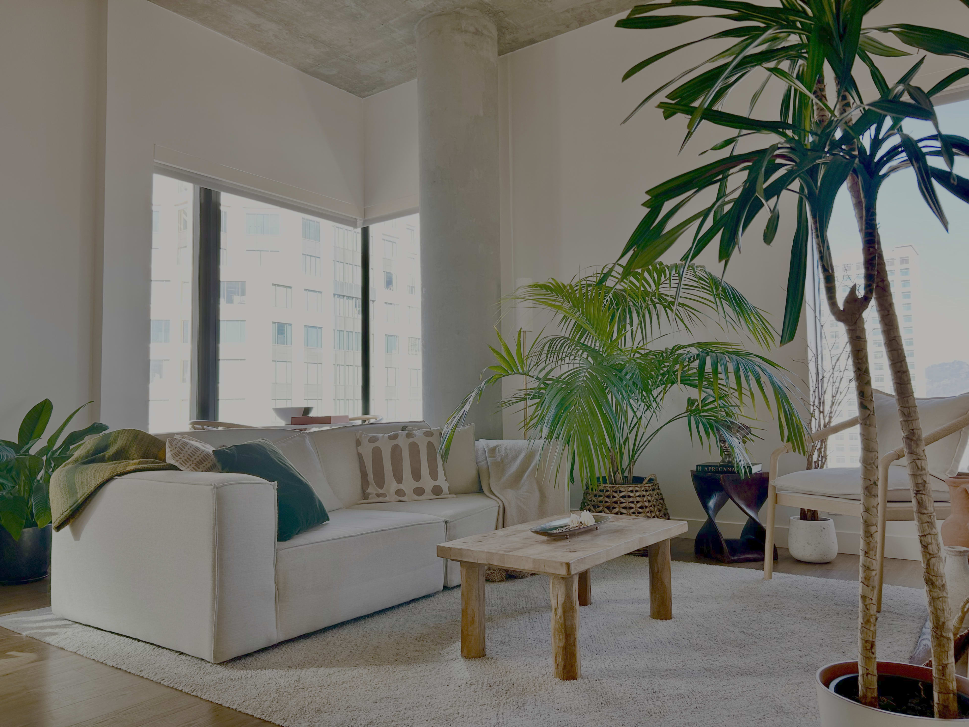 The image shows a modern living room with a white sofa, a wooden coffee table, and several indoor plants, including a palm.