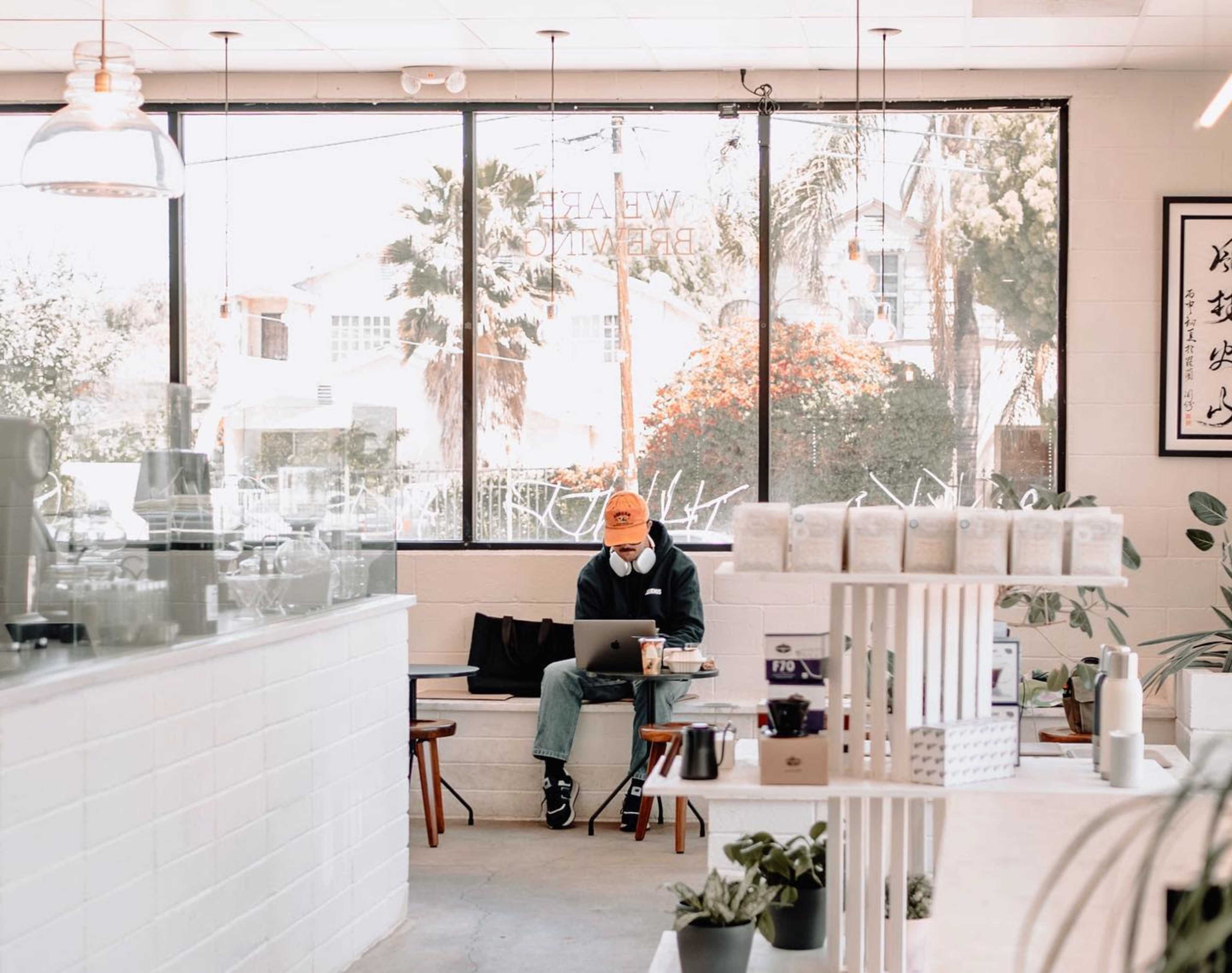 A person sitting at a table in a brightly lit café, working on a laptop and wearing a mask, with plants and decorative items visible in the foreground.