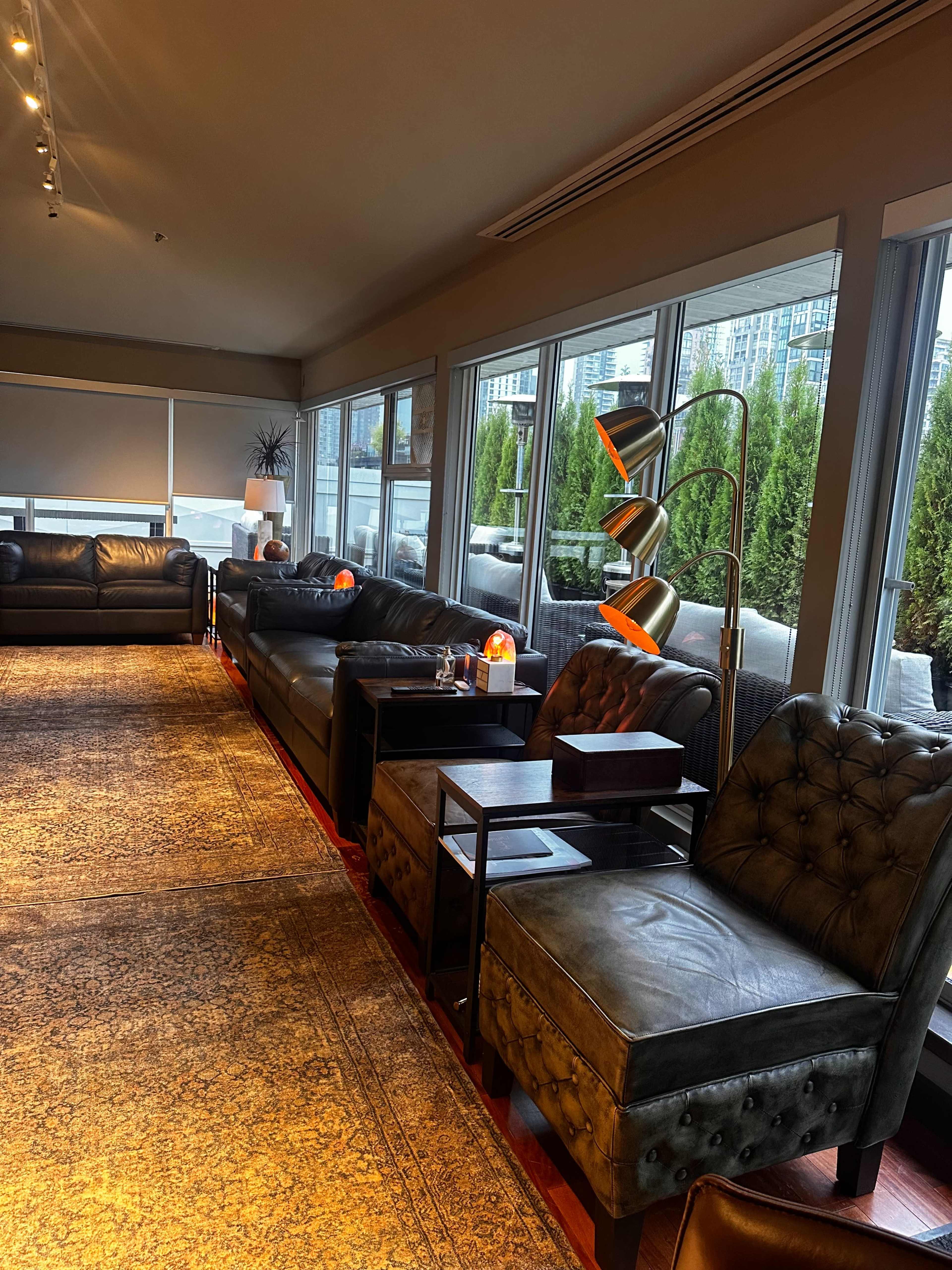 The image shows a modern lounge area with leather sofas and armchairs, large windows letting in natural light, and a decorative rug on the floor.