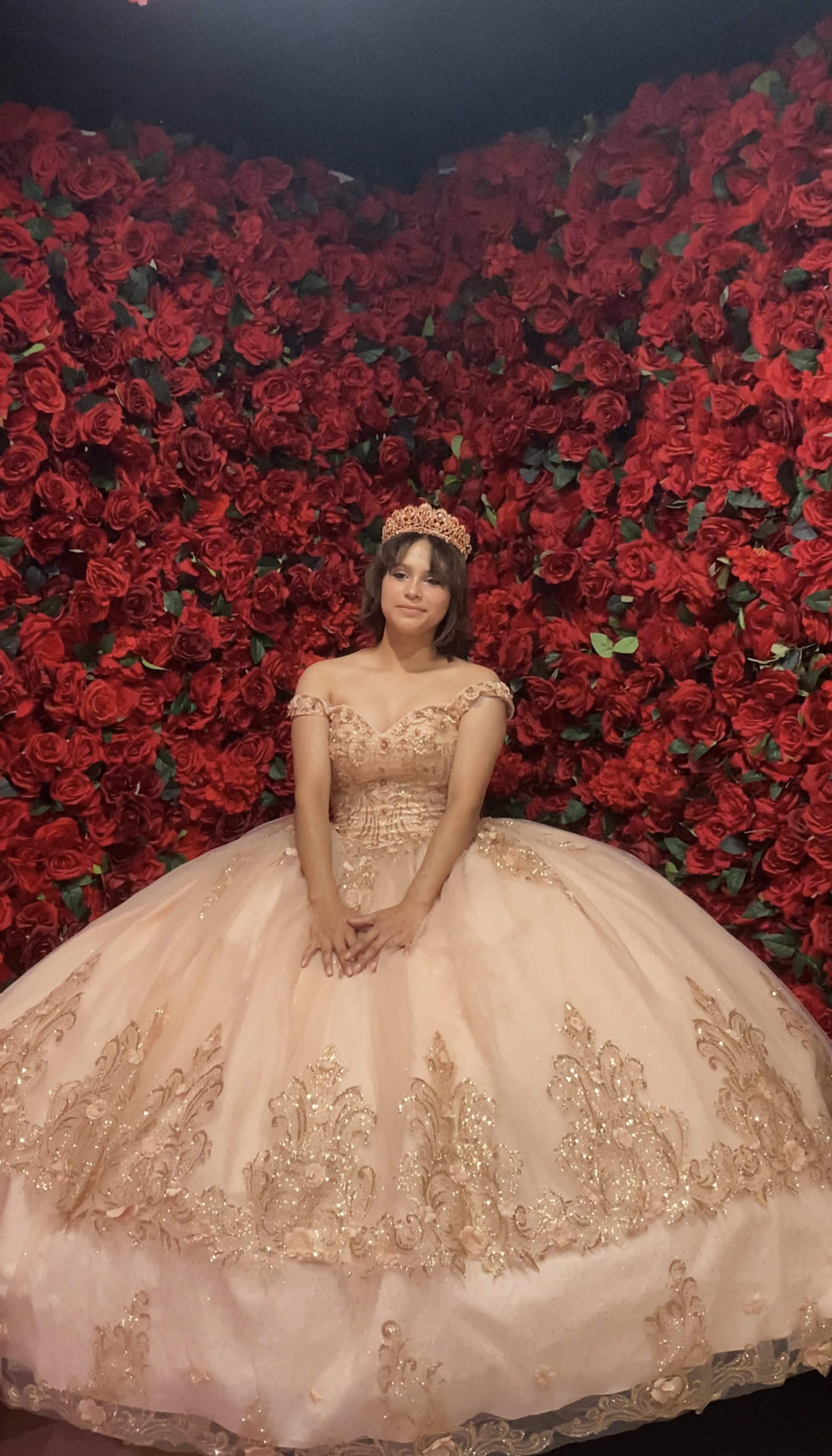 A young woman sits in front of a wall covered in red roses, wearing a lavish pink ball gown adorned with gold embroidery and a tiara.