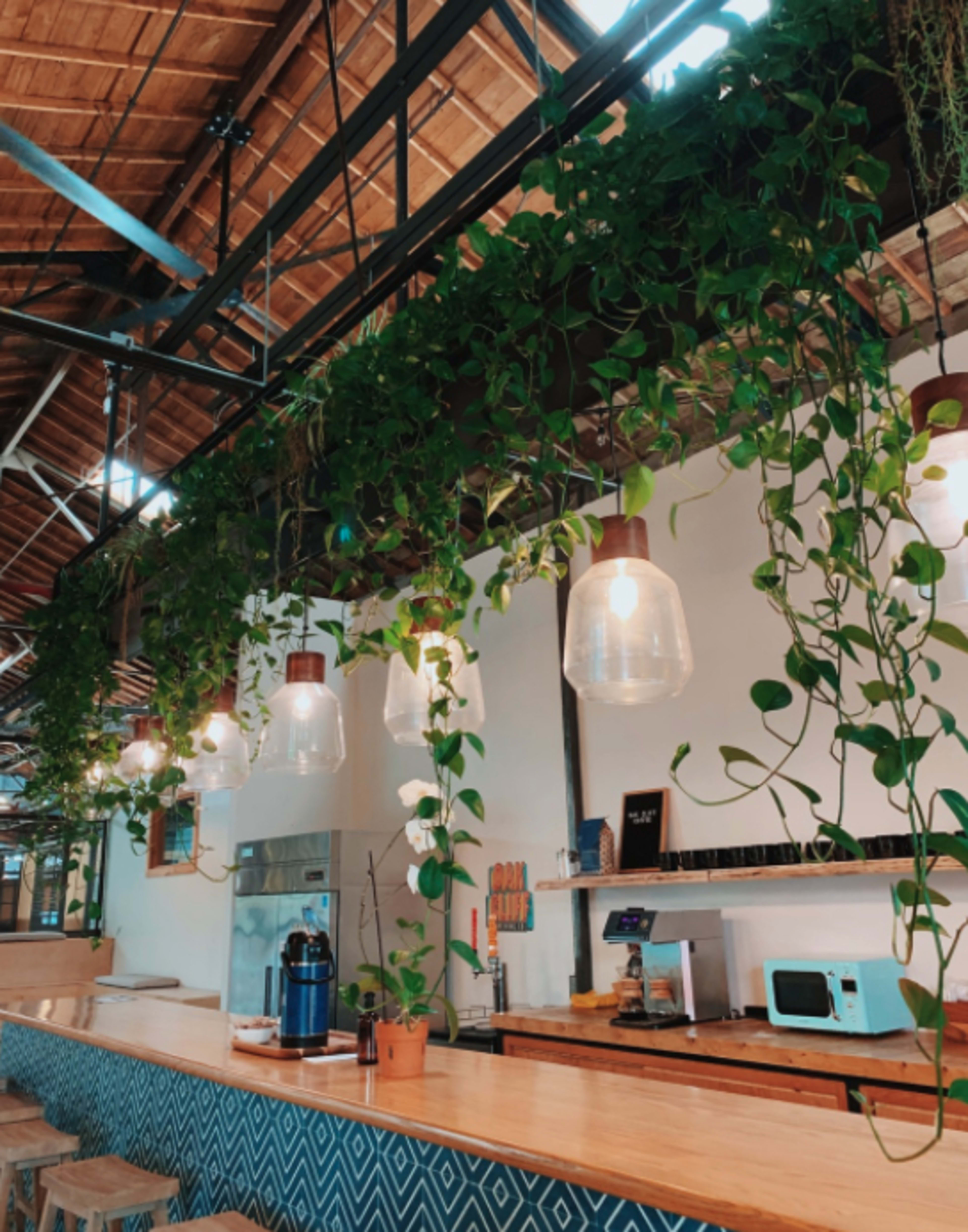 A coffee shop interior features a wooden bar with pendant lights and hanging plants, alongside a microwave and appliances on a shelf.