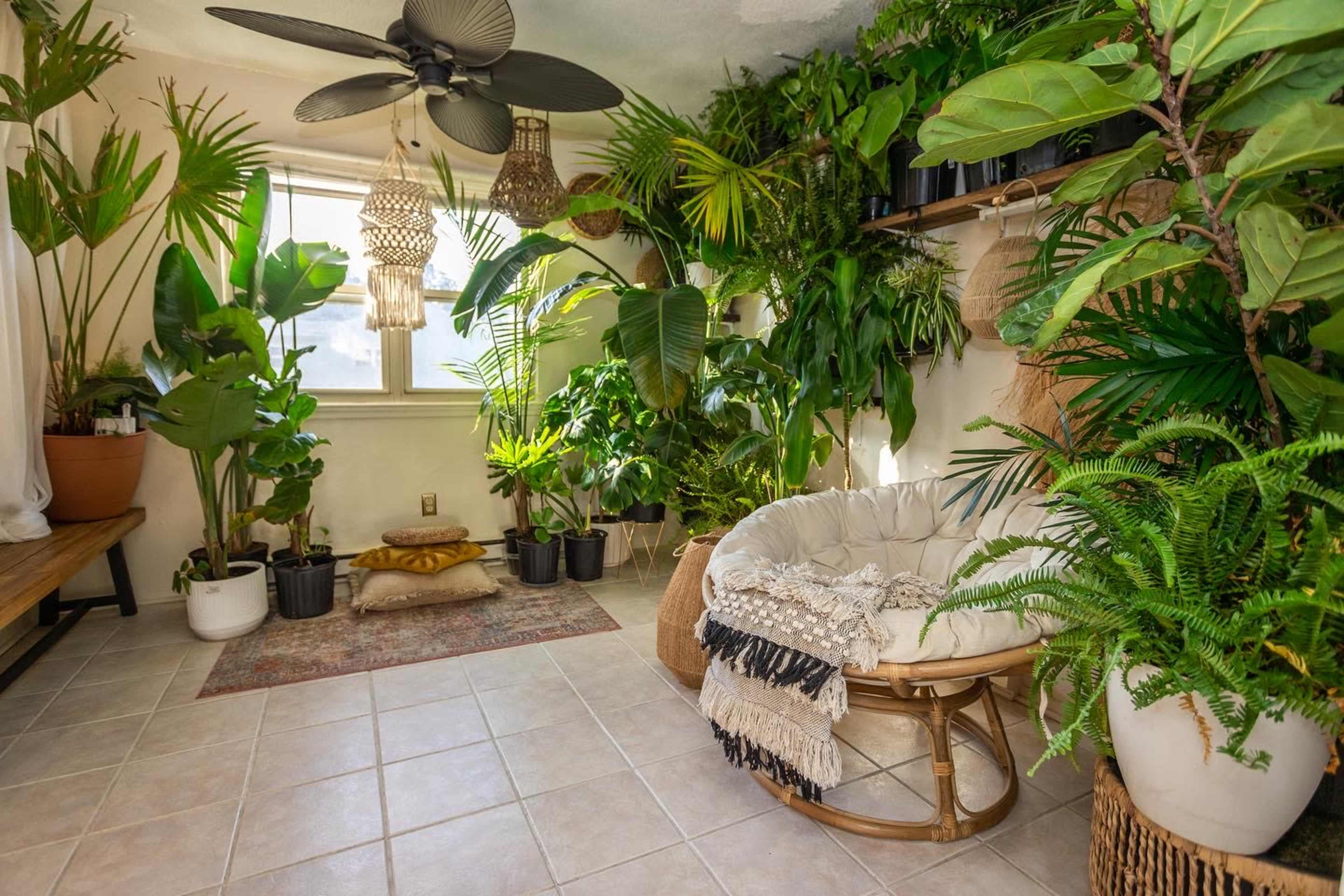 A sunlit room filled with numerous potted plants, featuring a round chair, a wooden bench, and decorative hanging elements.
