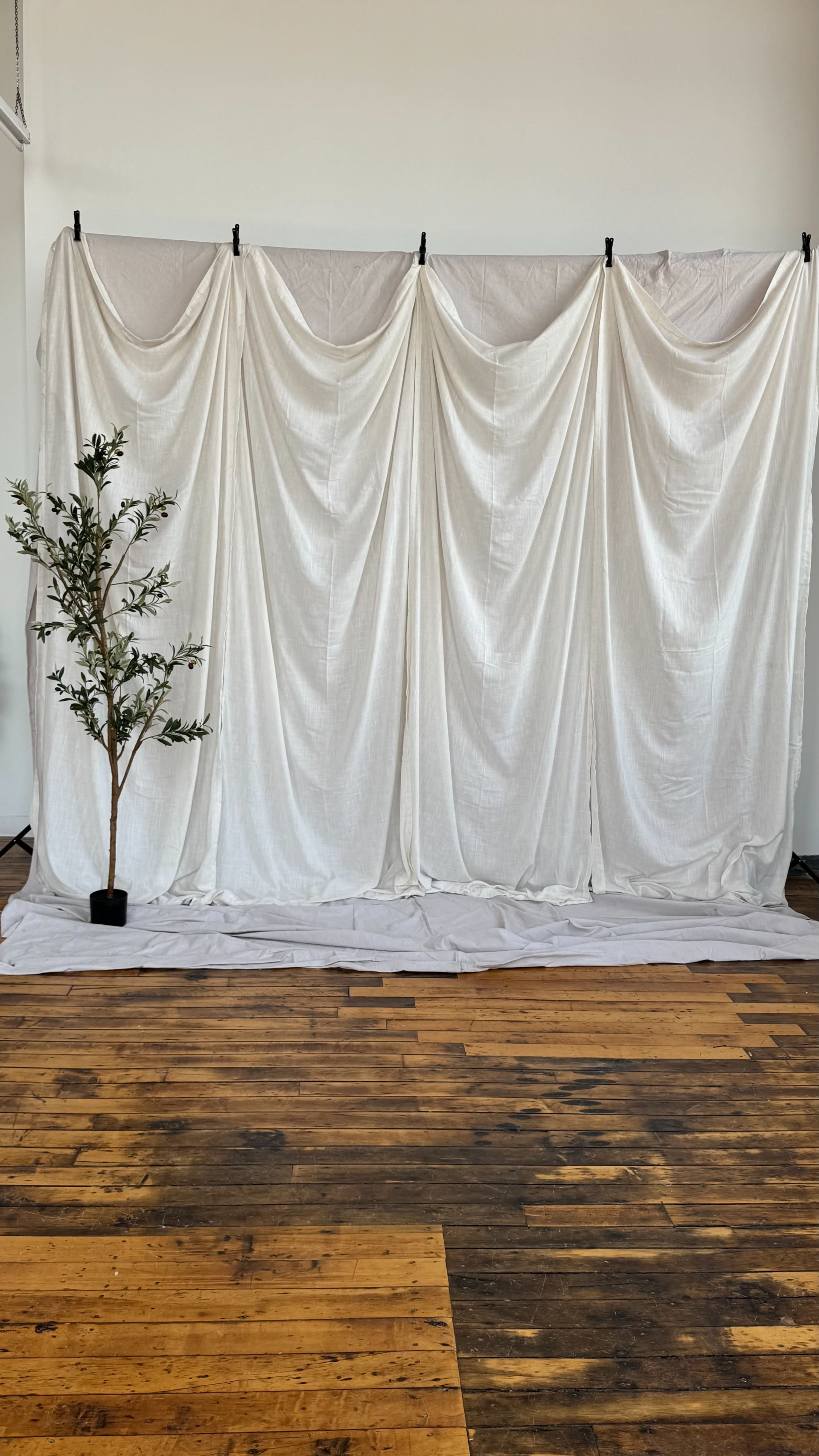 The image shows a draped white fabric backdrop with a small potted plant in a corner, set on wooden flooring.