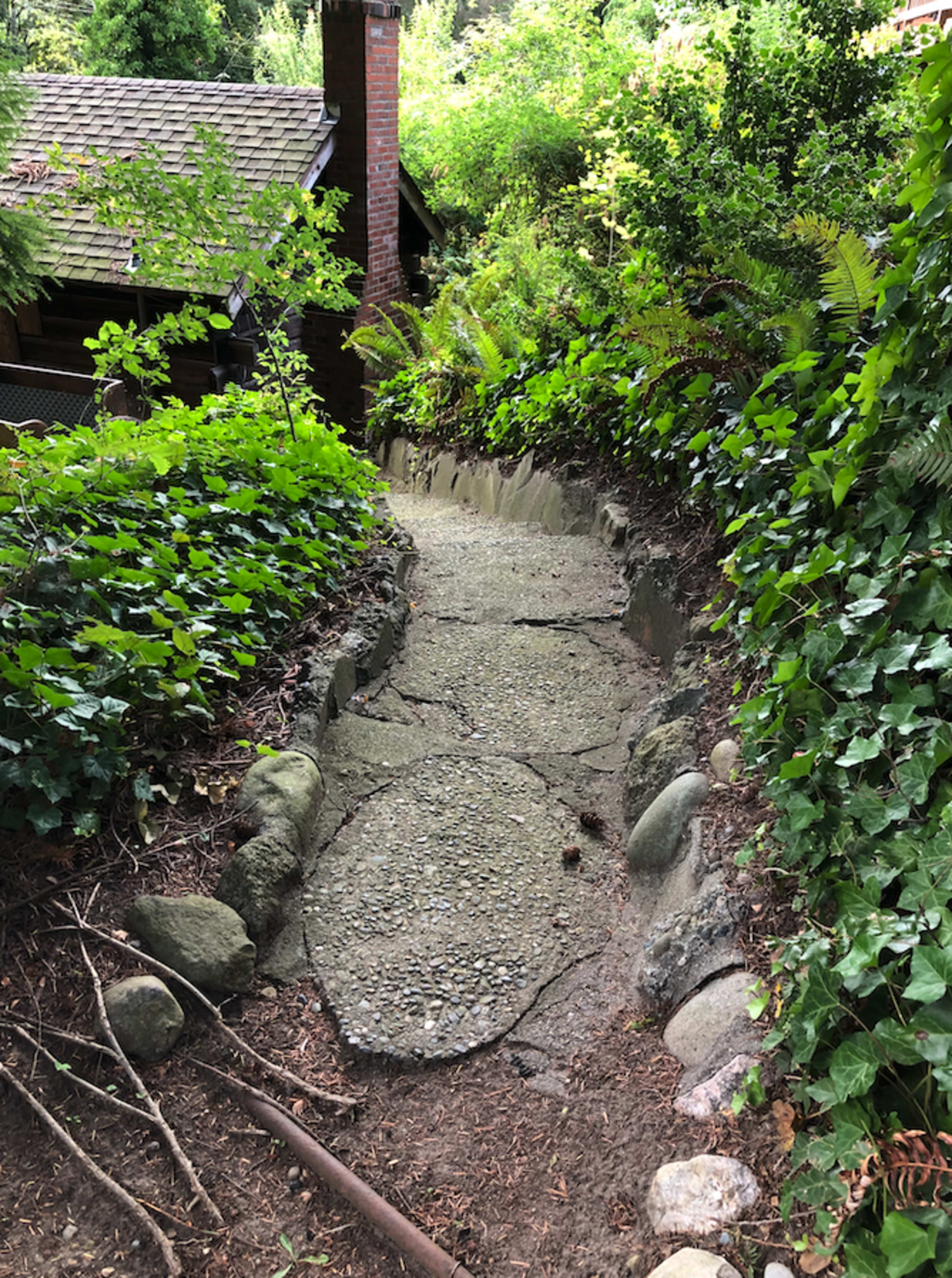 A stone pathway leads downward through lush greenery towards a cabin.