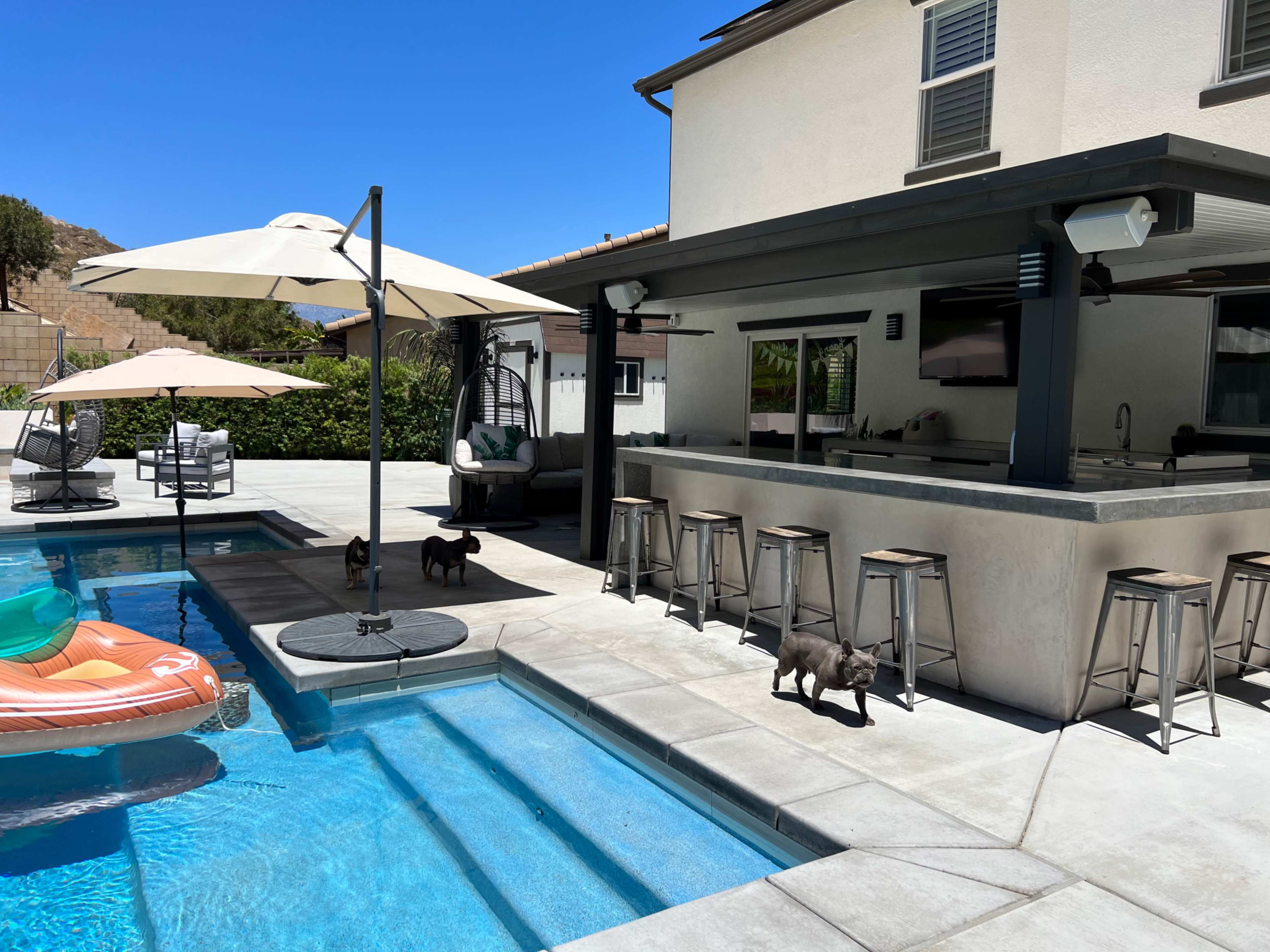 A backyard area with a swimming pool, a bar with stools, several umbrellas, and two dogs walking near the pool.