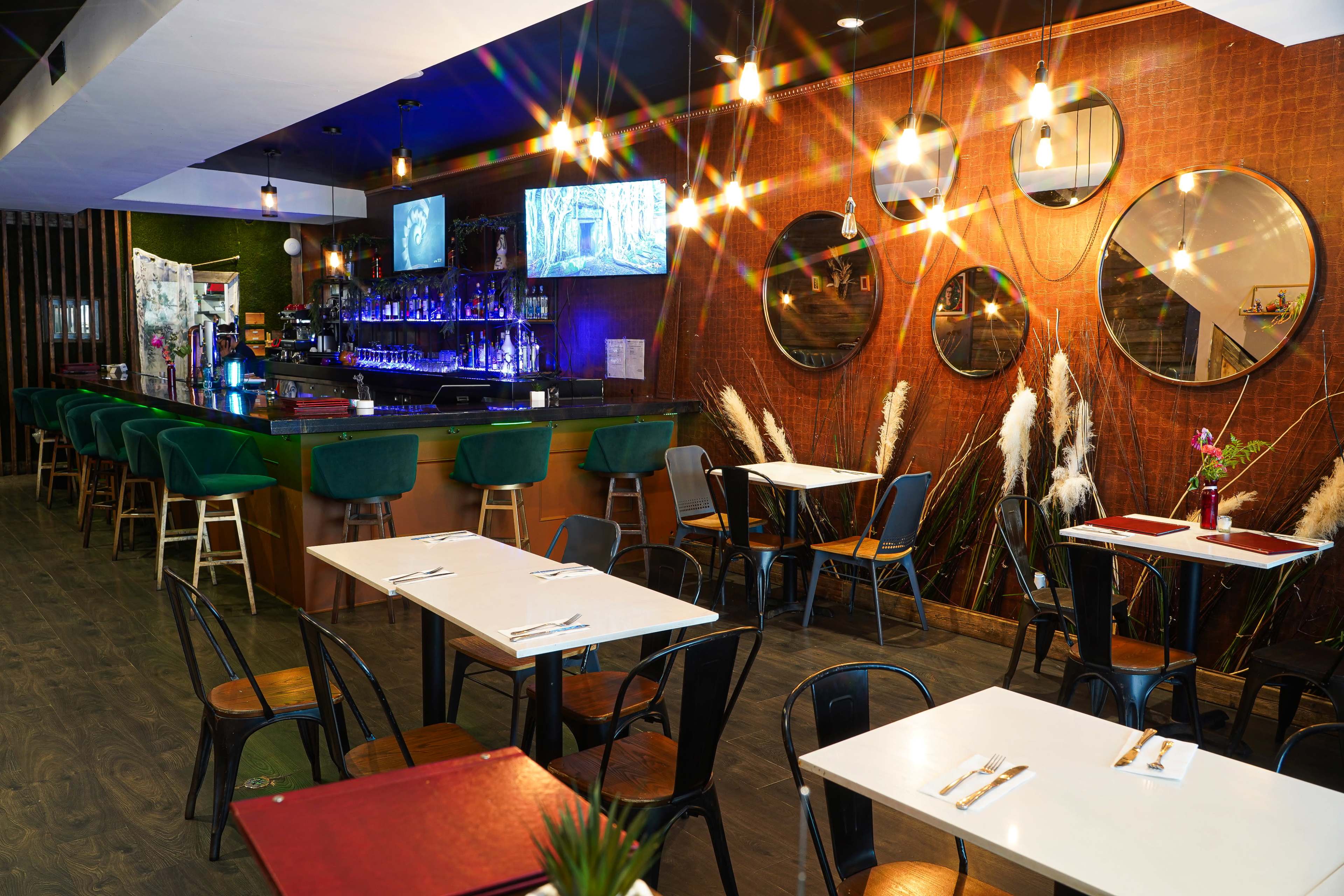 Energetic Latin Spot Restaurant & Patio Image in Trinity-Bellwoods, Toronto, ON