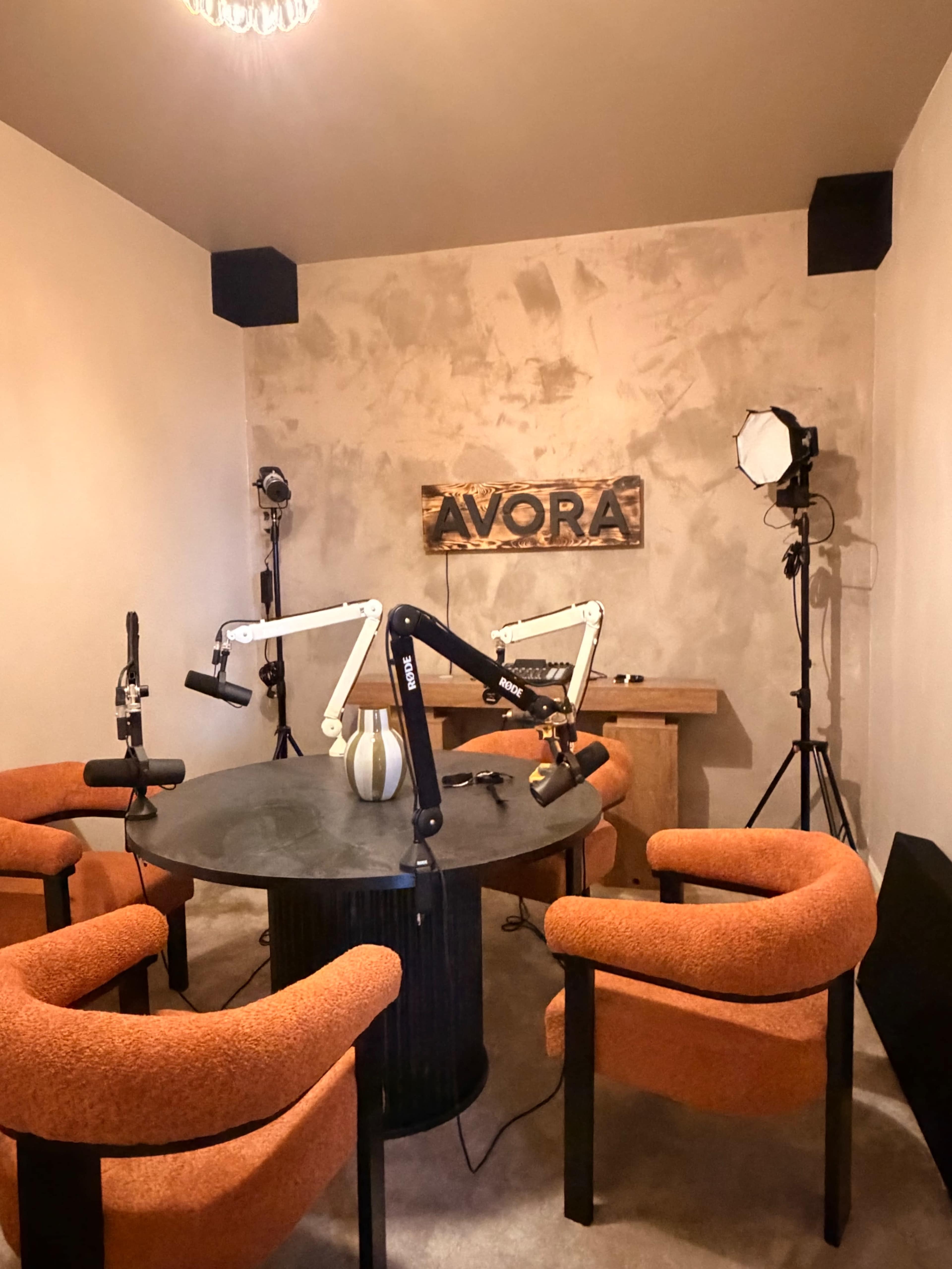 The image shows a small room designed for recording, featuring a round table with orange chairs, microphones on adjustable stands, and lighting equipment.