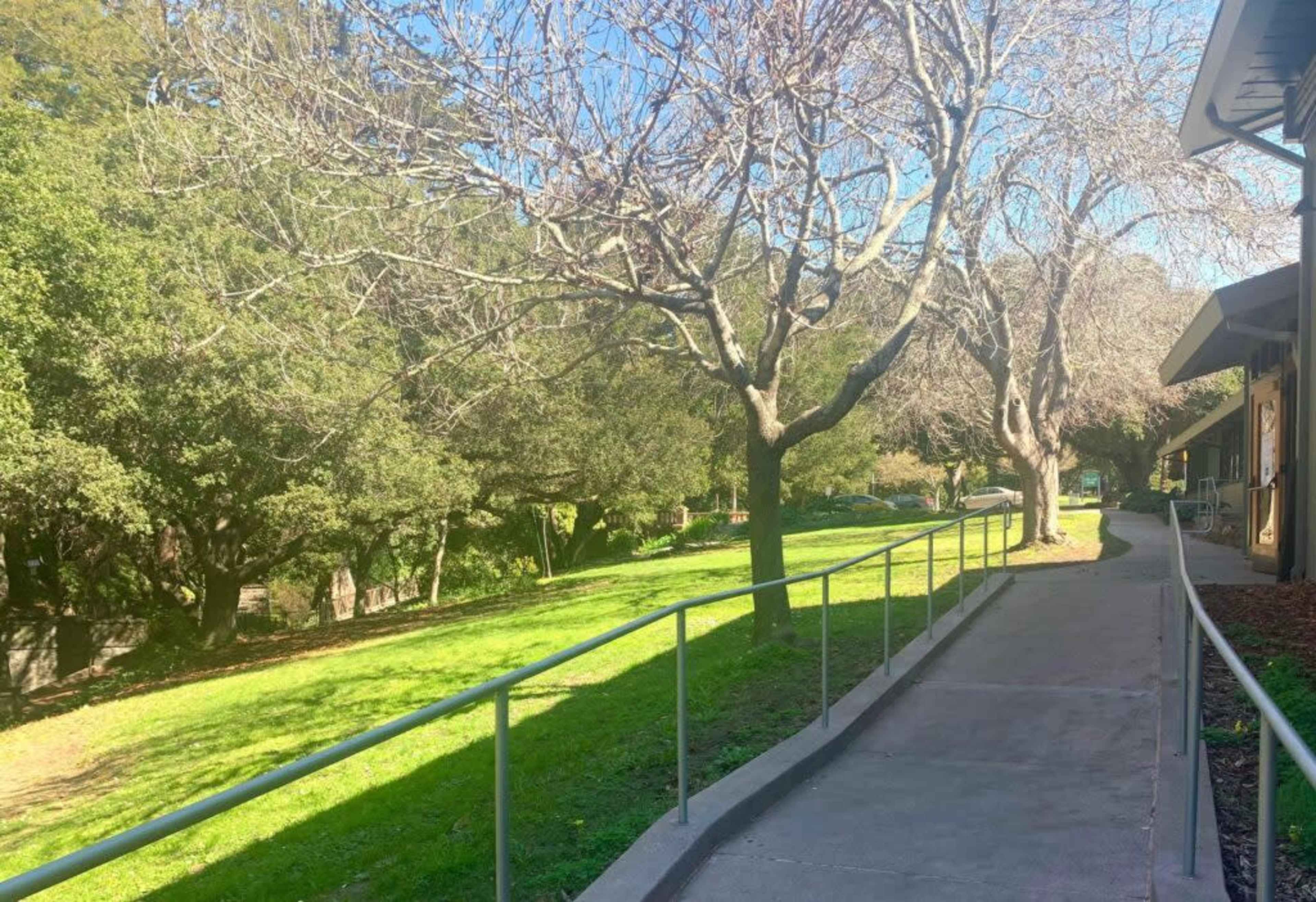 A concrete walkway lined with railings runs alongside a green lawn and bare trees under a clear blue sky.