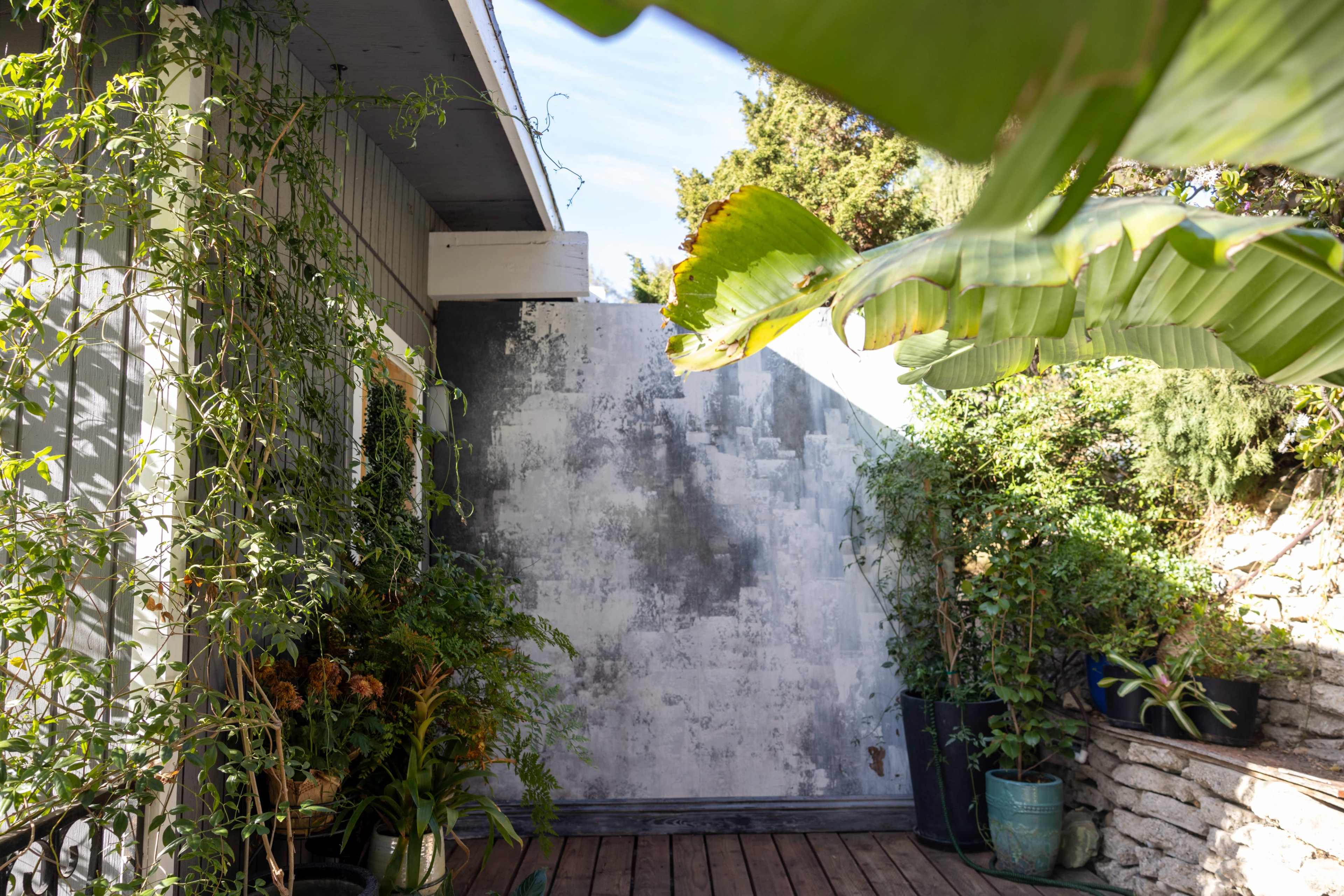 The image shows a wooden deck surrounded by various potted plants and a wall covered in greenery and textures.