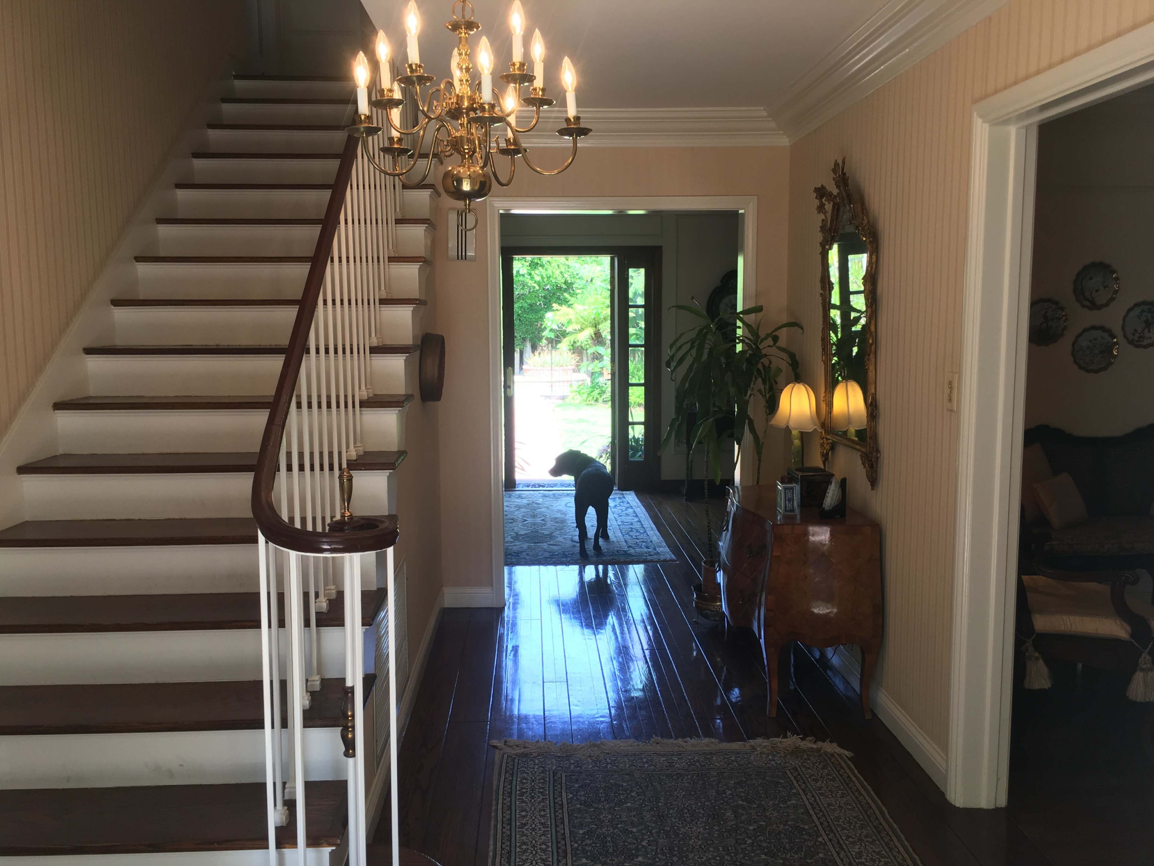 A staircase leads up from a well-lit hallway that opens to a door with a view of a garden, while a dog stands near the entrance.