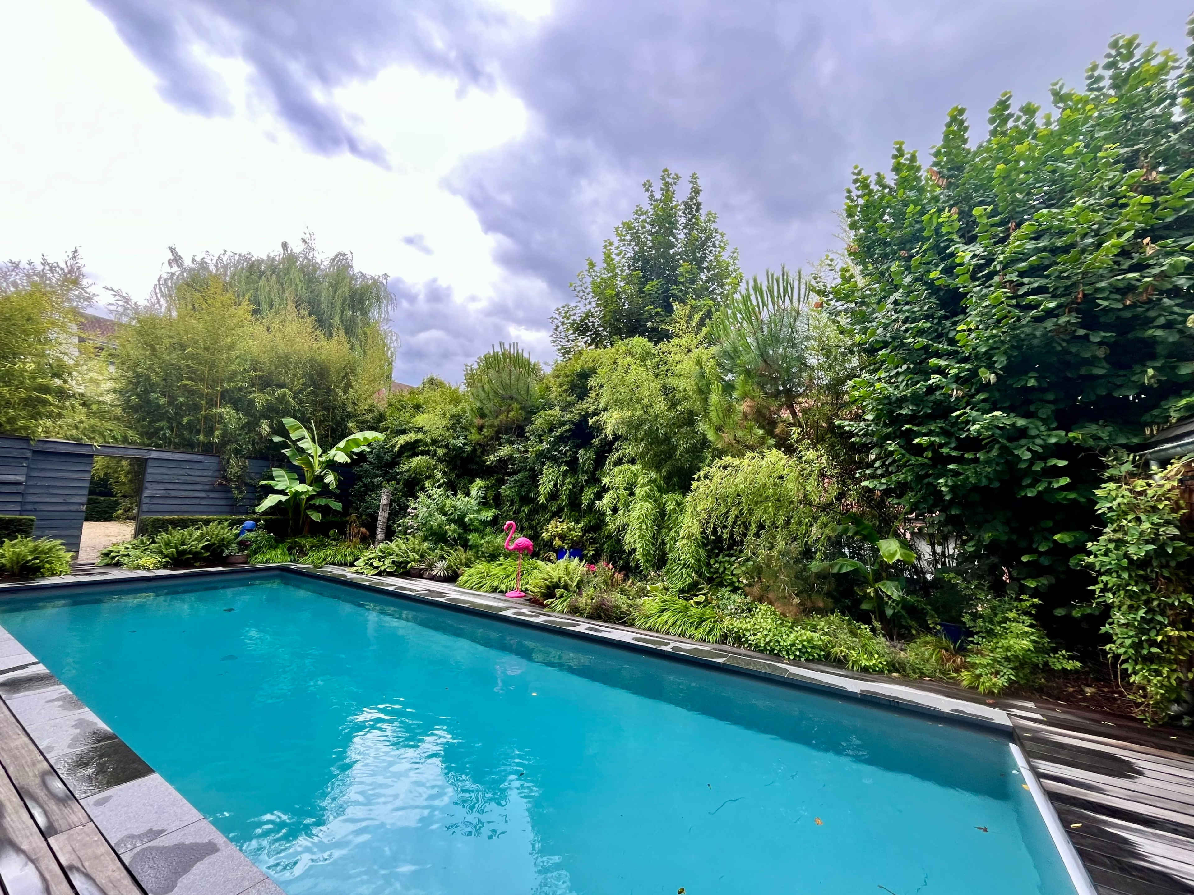 A swimming pool with clear blue water is surrounded by lush greenery and a few decorative plants, including a flamingo figure, under a cloudy sky.