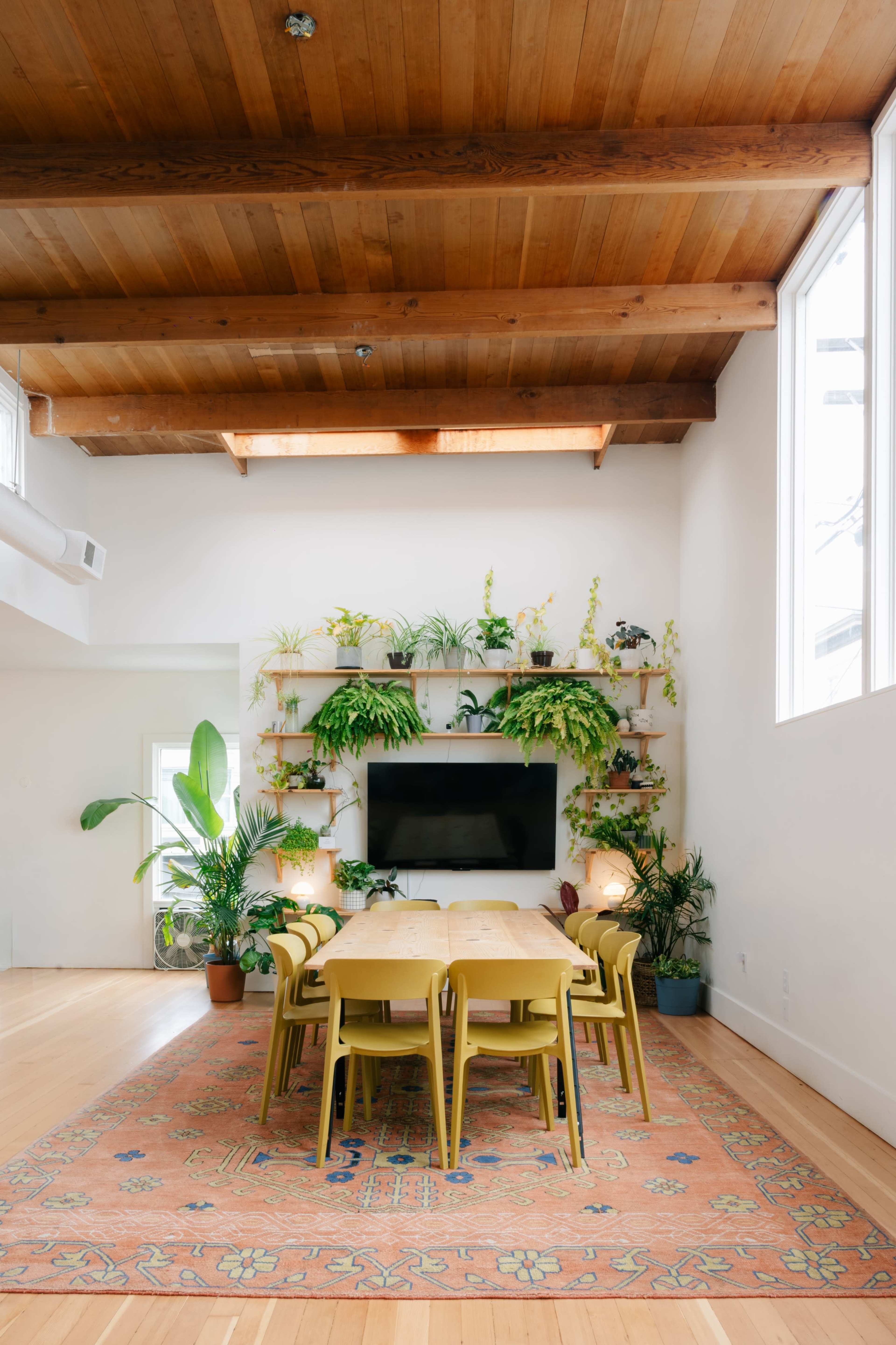 A dining area features a long wooden table surrounded by green chairs, with a wall-mounted TV and shelves adorned with various indoor plants.
