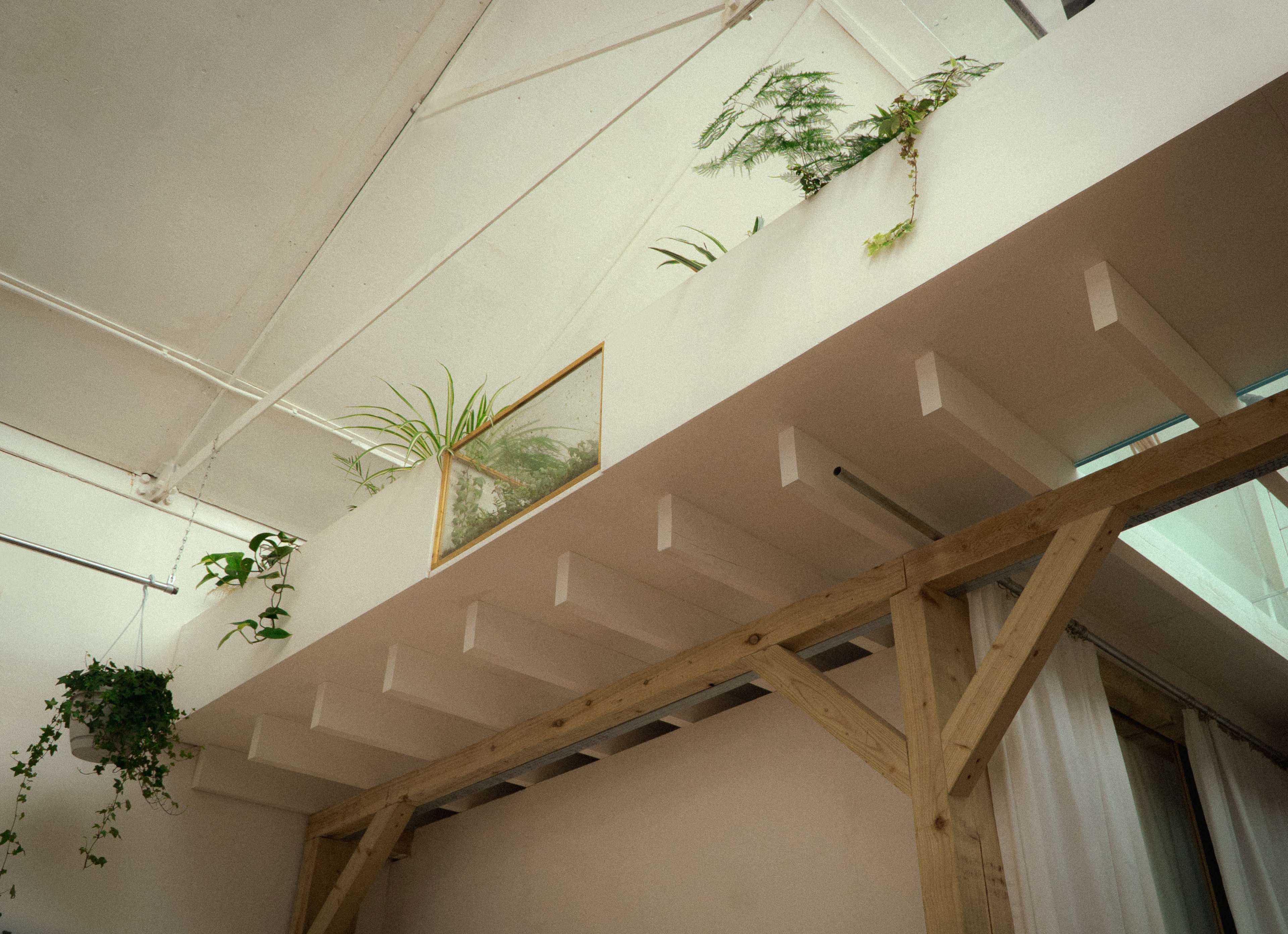 A spacious interior with wooden beams and greenery positioned on a ledge above, alongside a framed picture against a white wall.