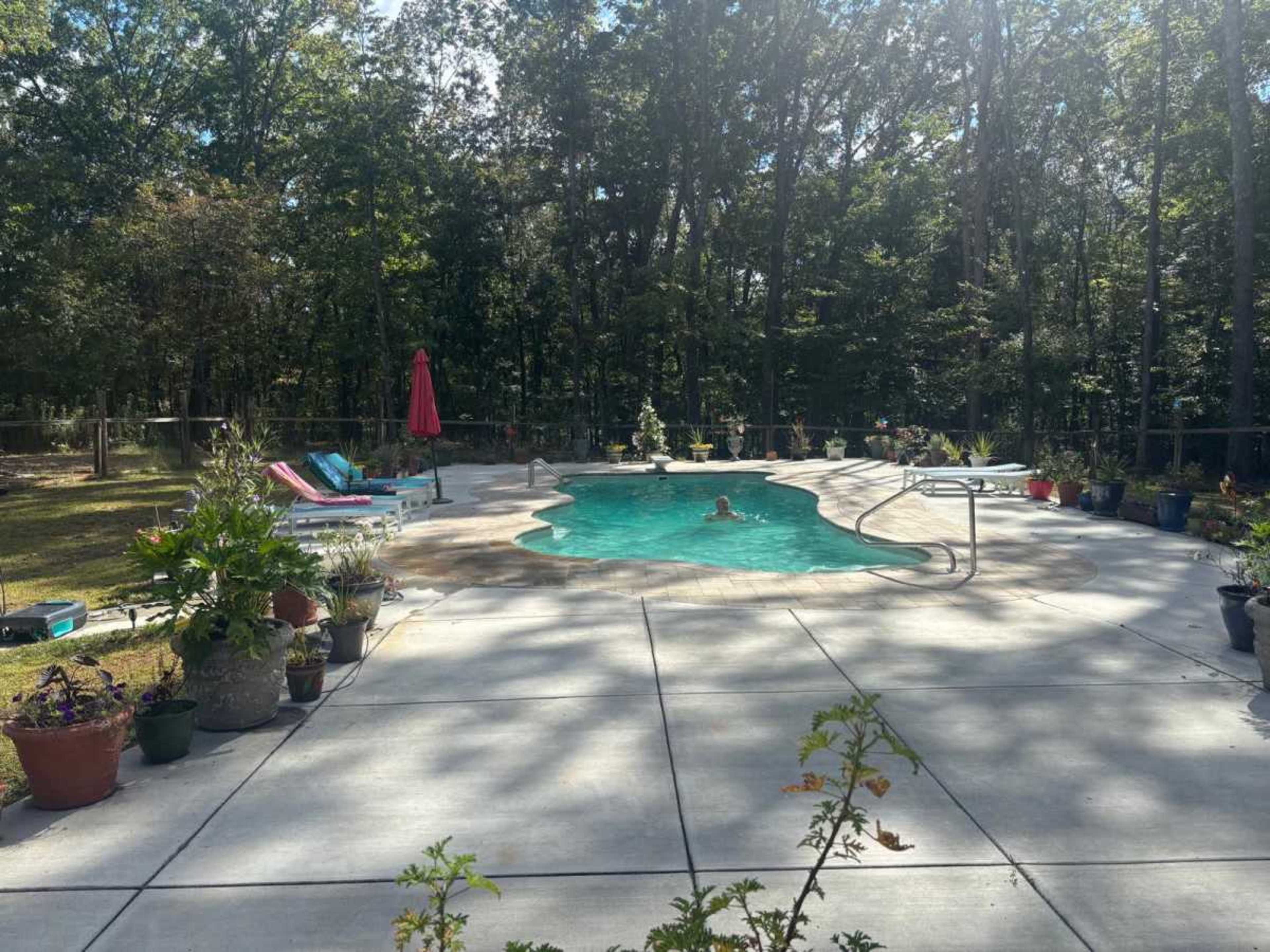A person swims in a swimming pool surrounded by a concrete patio and various potted plants under a canopy of trees.