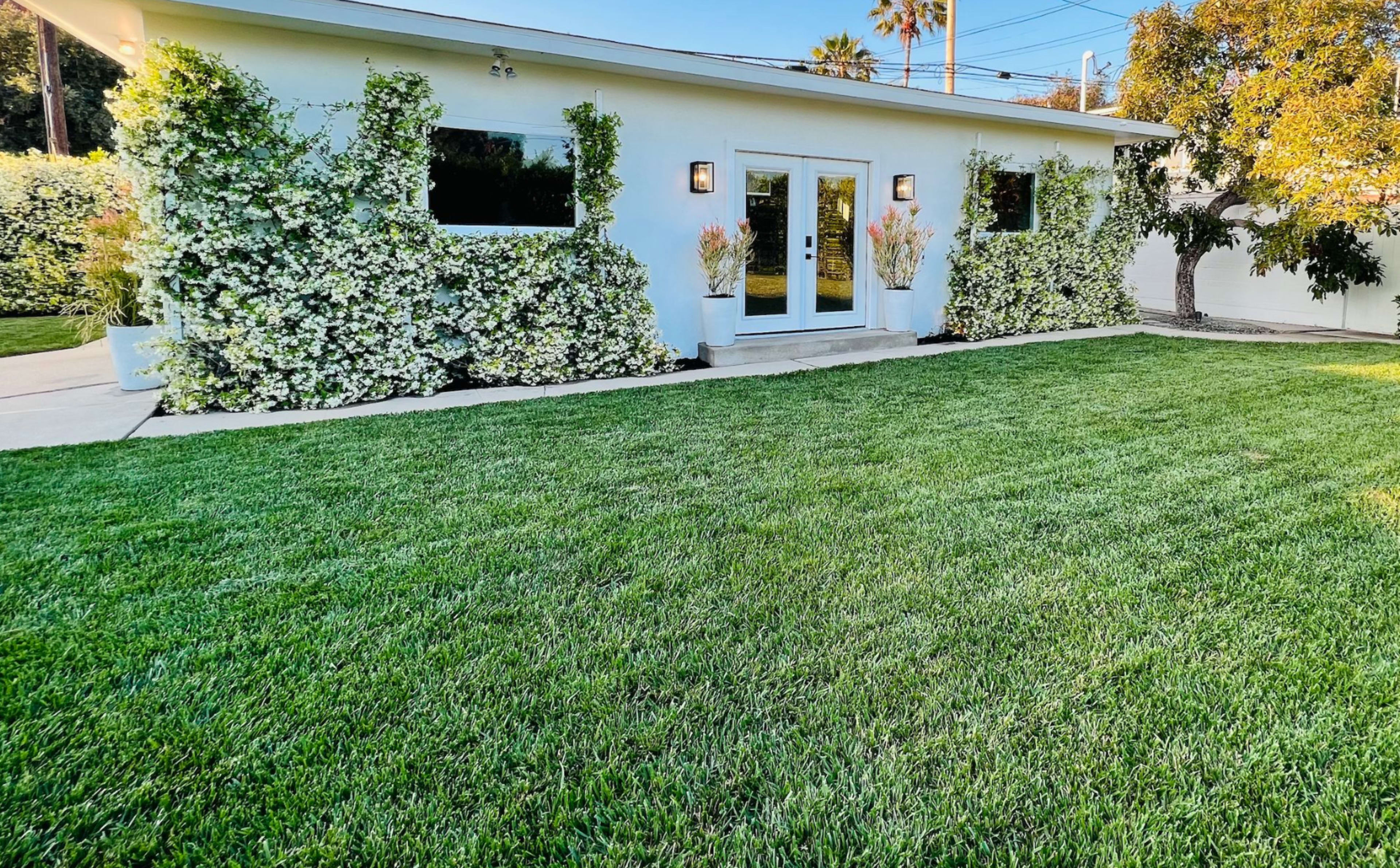 A modern white house with large windows is surrounded by green grass and flowering vines on the exterior walls.