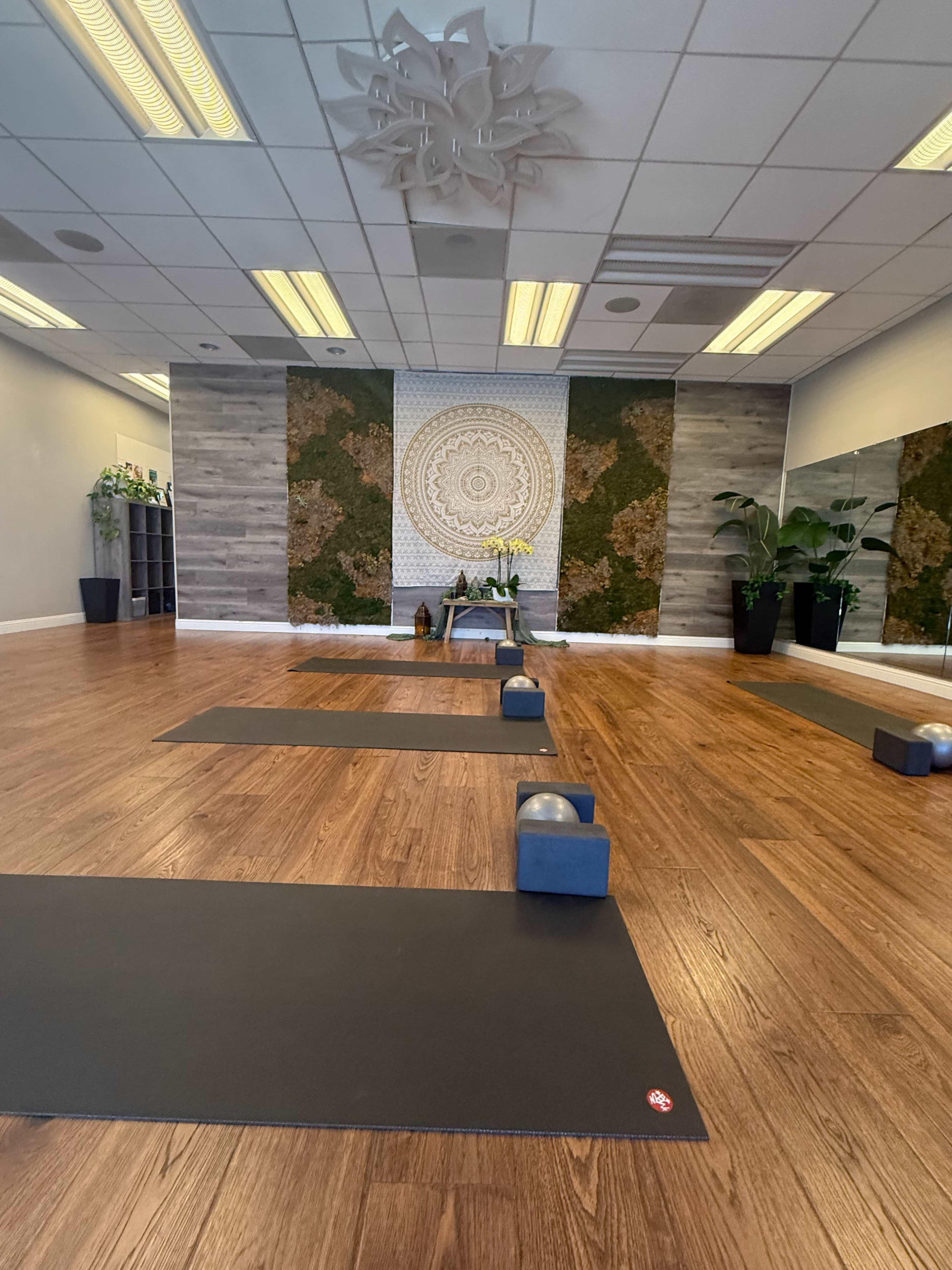 A quiet and serene studio space tucked near the Willow Glen neighborhood, offering a peaceful setting for your practice. Image in Willow Glen, SAN JOSE, CA