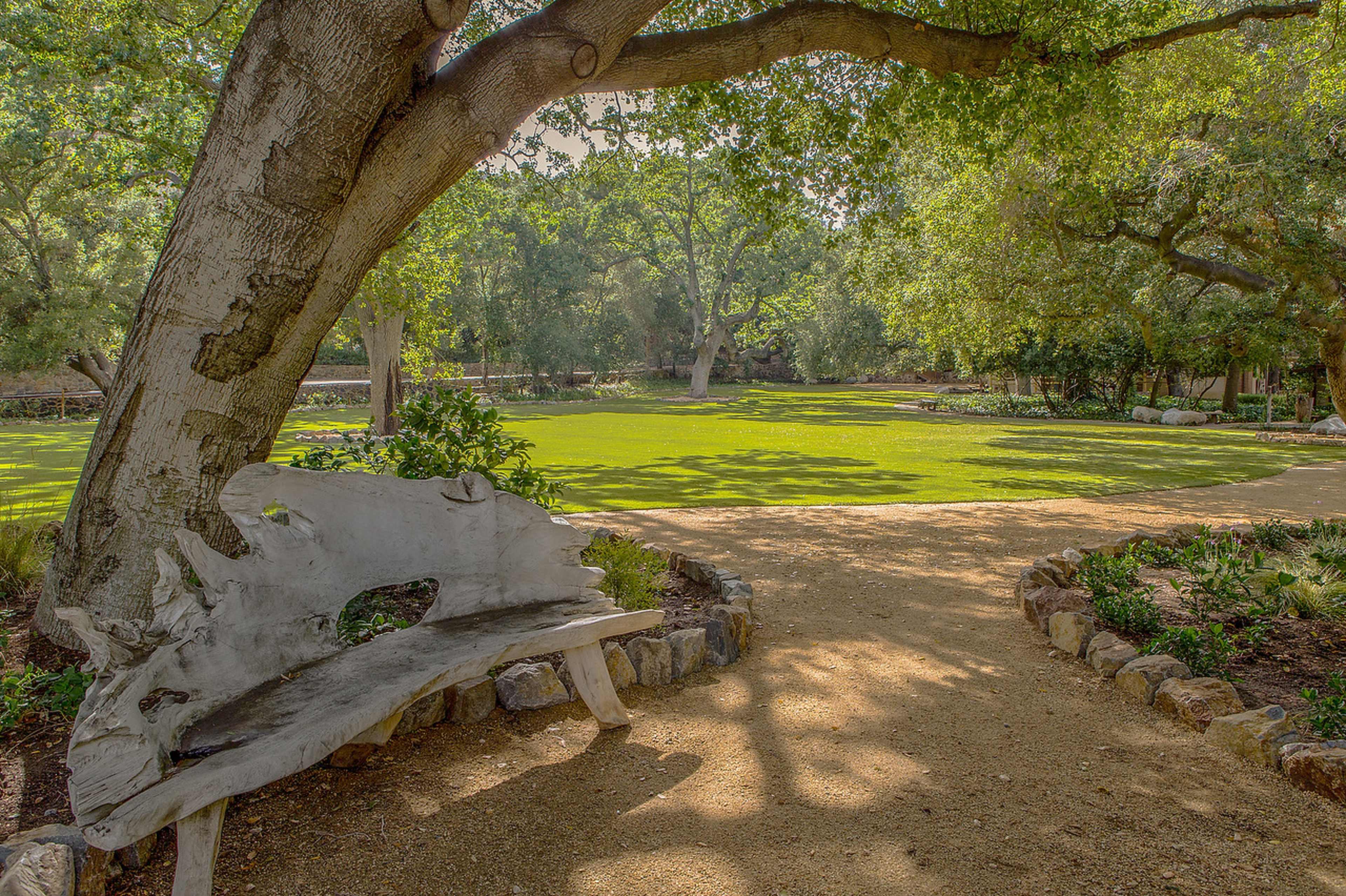 A weathered wooden bench is positioned under a large tree in a grassy park area, with a winding path leading through the landscape.