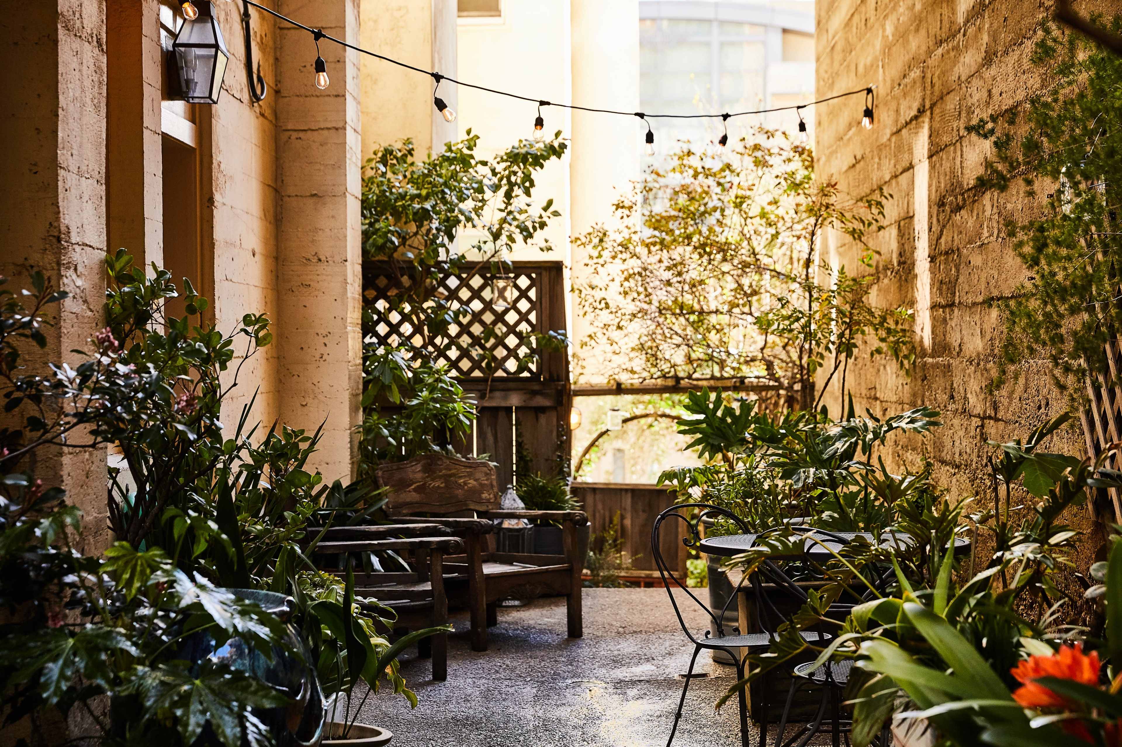 A narrow courtyard lined with plants, featuring wooden furniture and string lights overhead.