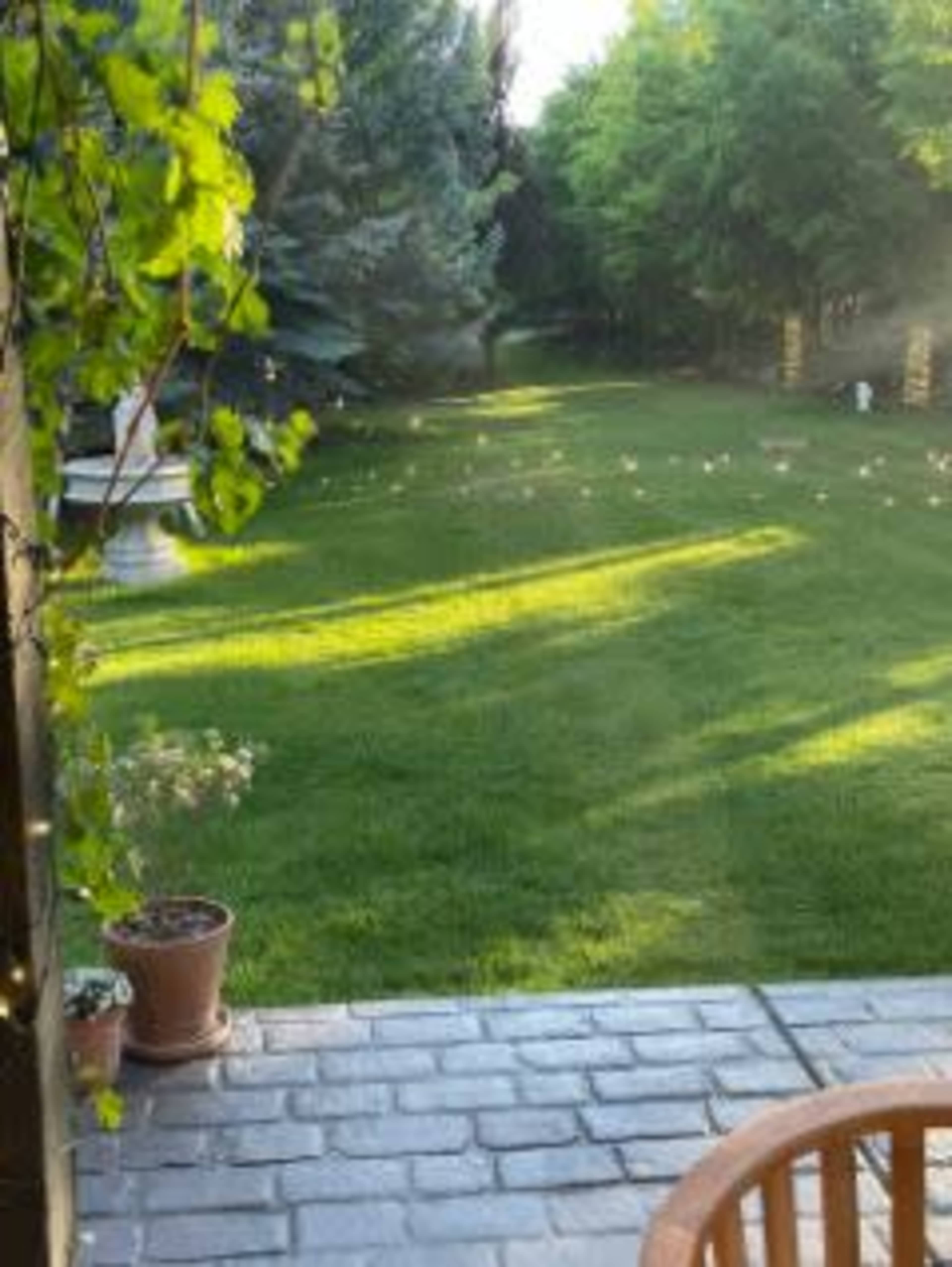 A stone patio overlooks a manicured lawn surrounded by trees in a sunny backyard.