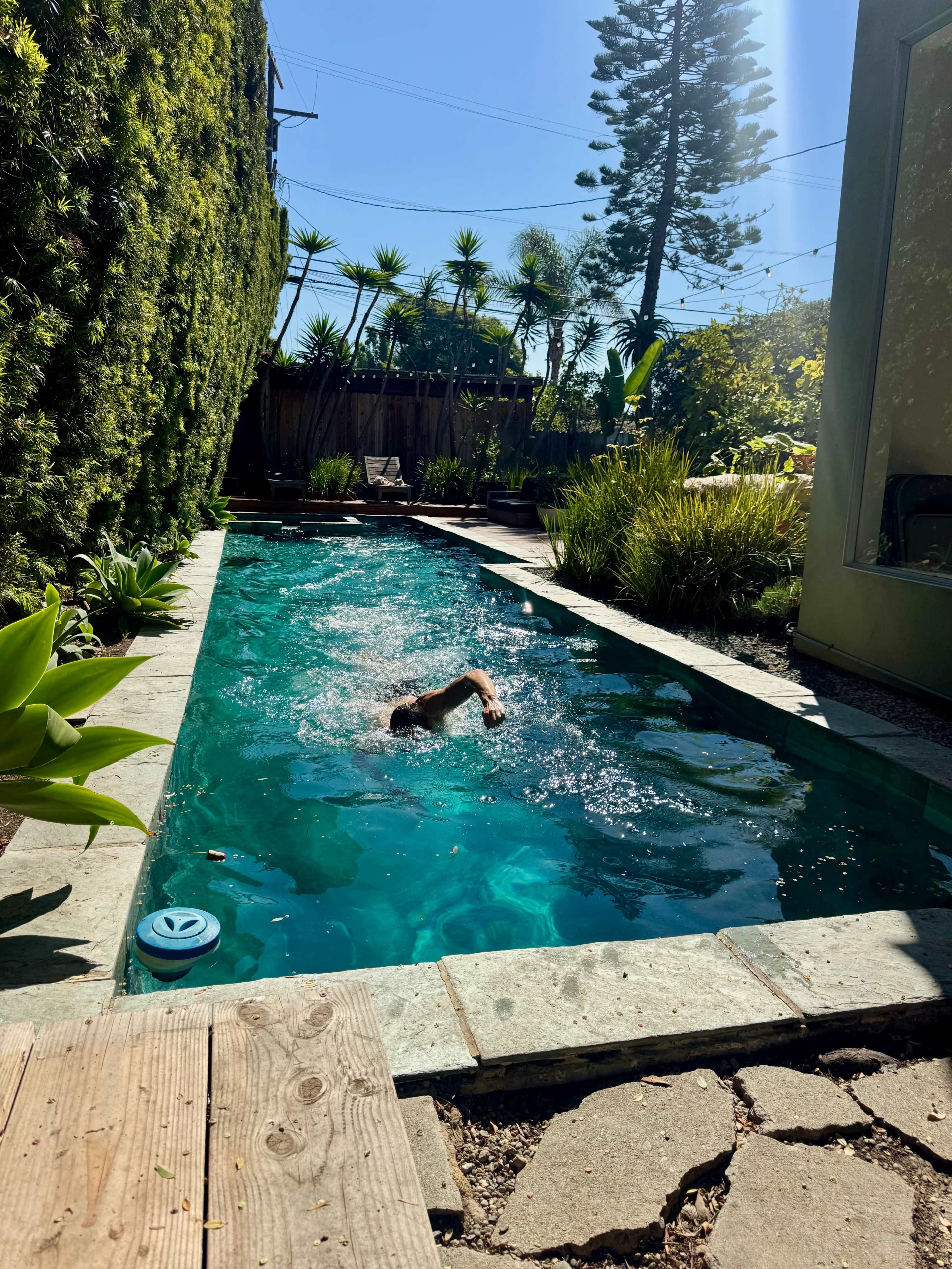 A person swims in a narrow, sunlit pool surrounded by greenery and palm trees.