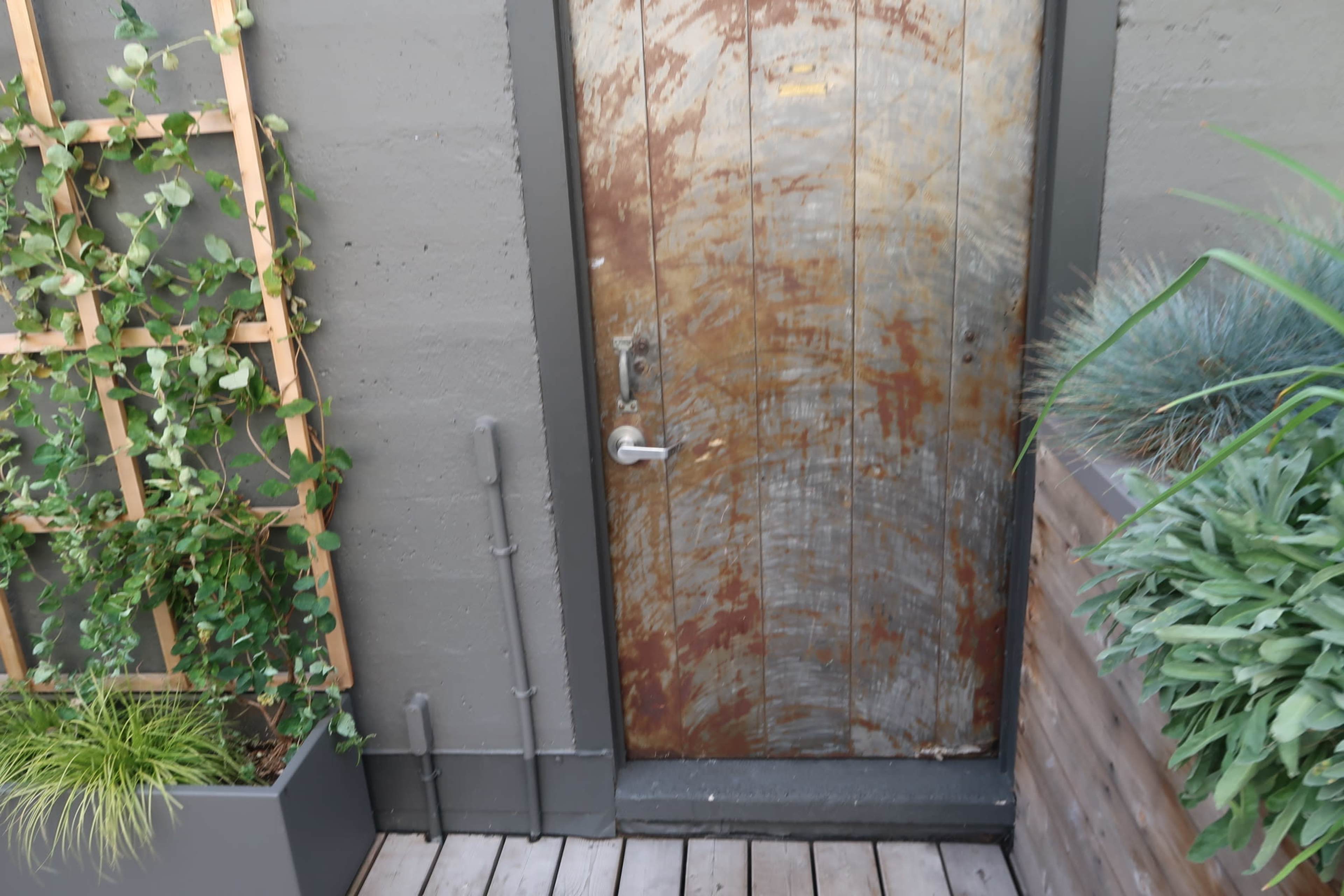 The image shows a weathered metal door with rusted markings, flanked by green plants in wooden planters and a vertical garden on a gray wall.
