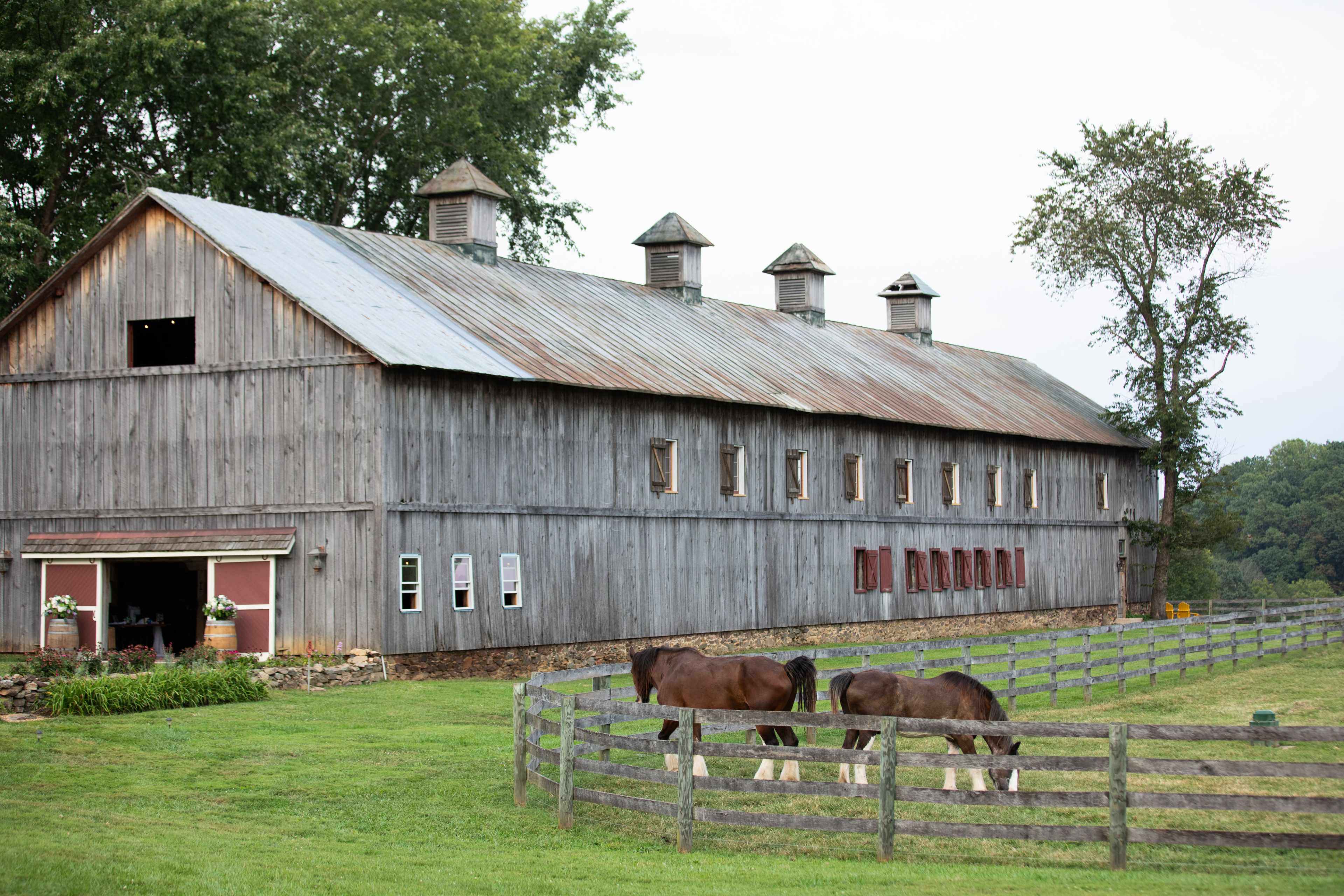A weathered wooden barn stands beside a fenced pasture, where two horses graze in the grass.