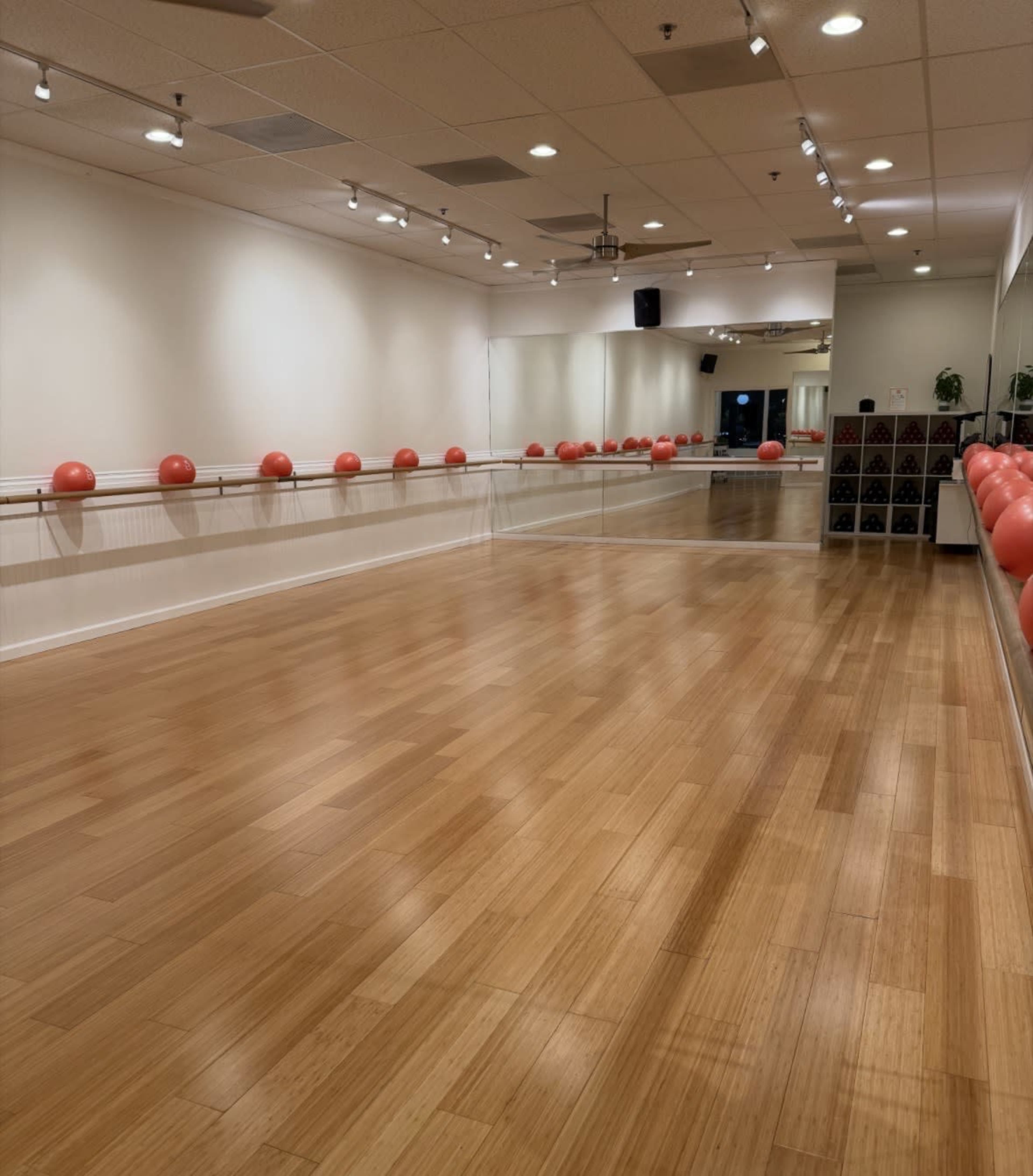 The image shows a spacious exercise studio with wooden flooring, a row of red exercise balls lining the mirrored wall, and soft lighting.