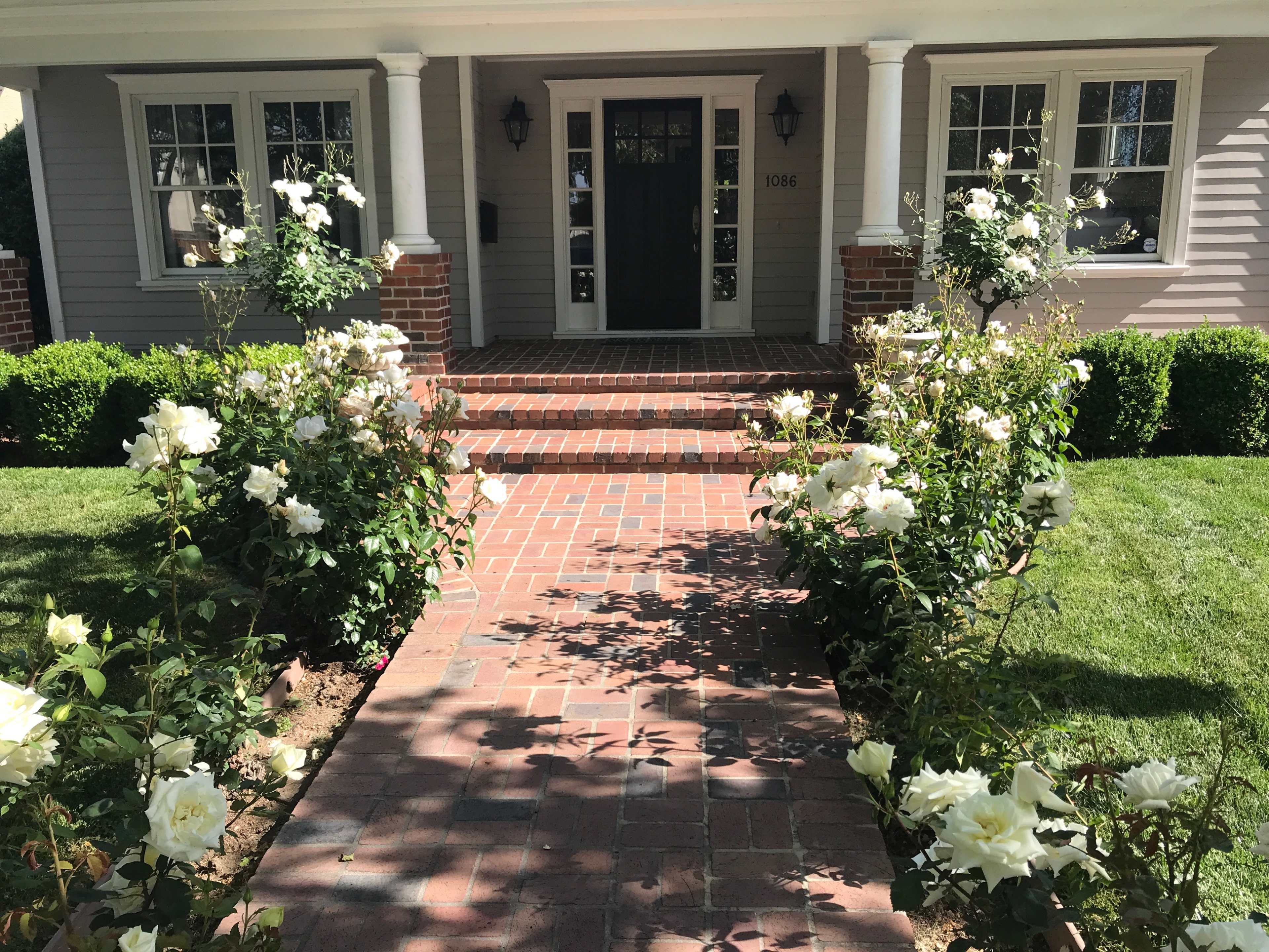 A brick pathway leads to a green front door, flanked by blooming rose bushes and neatly trimmed hedges.