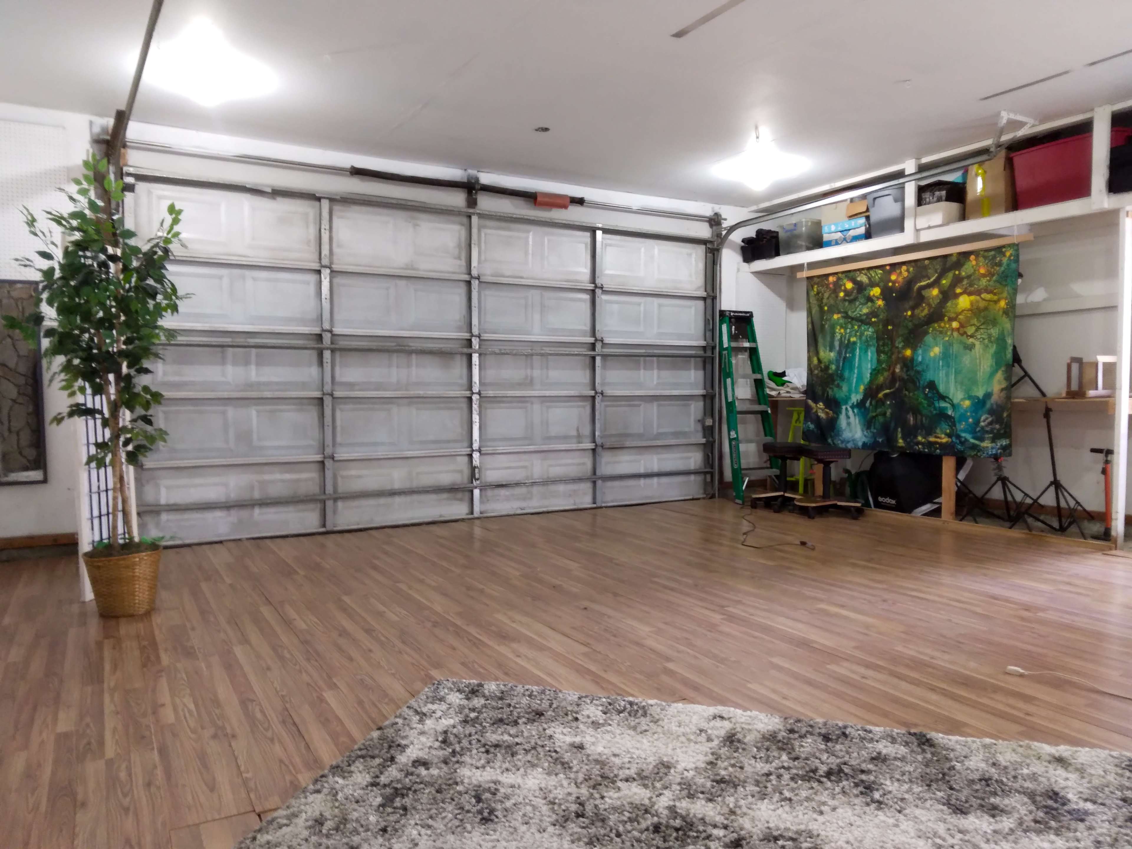 A spacious garage with a closed metallic garage door, a ladder, a large colorful painting, and potted plants.