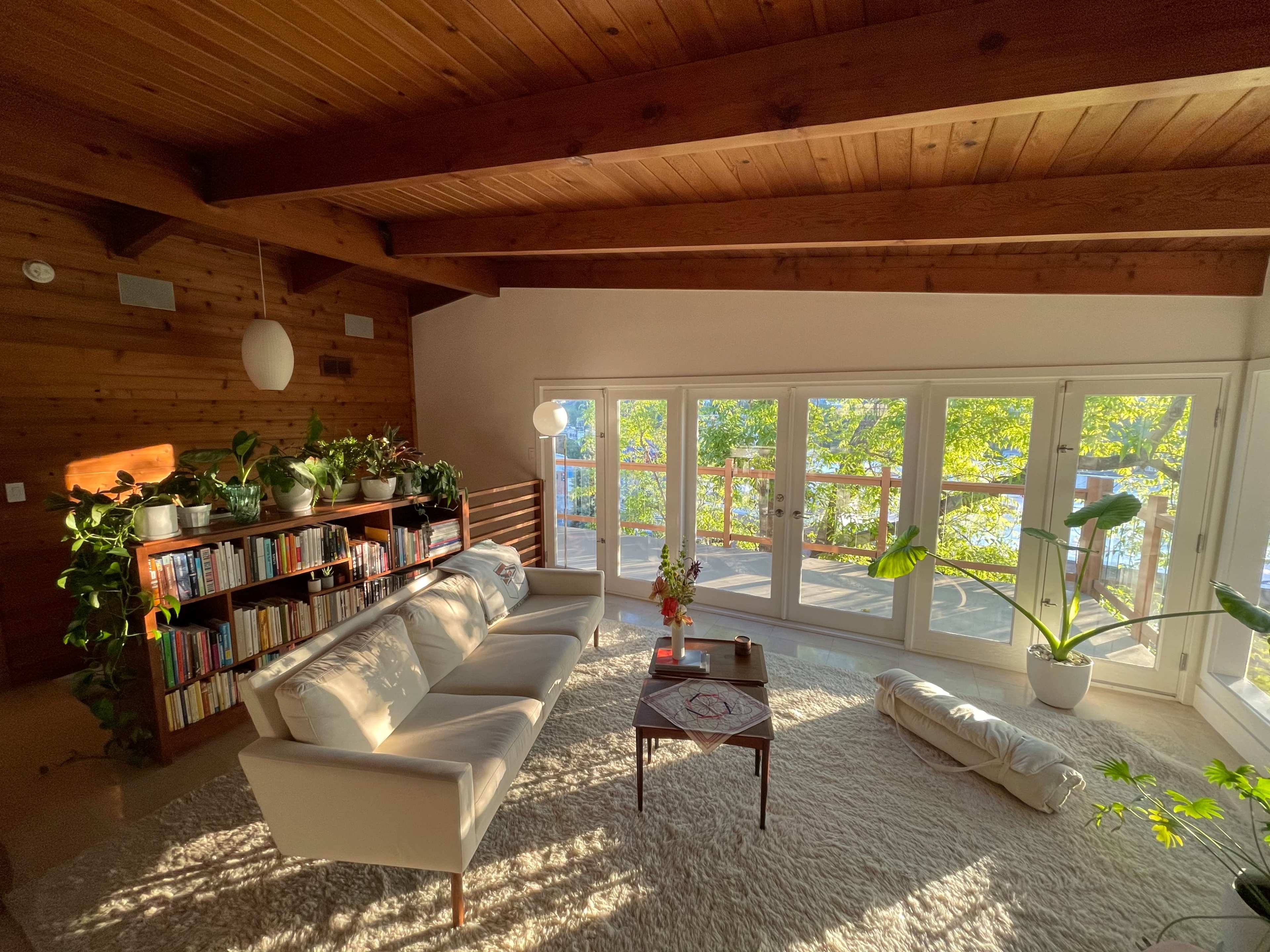 A cozy living room features a white sofa, a coffee table, a bookshelf filled with books, and large windows overlooking a green landscape.