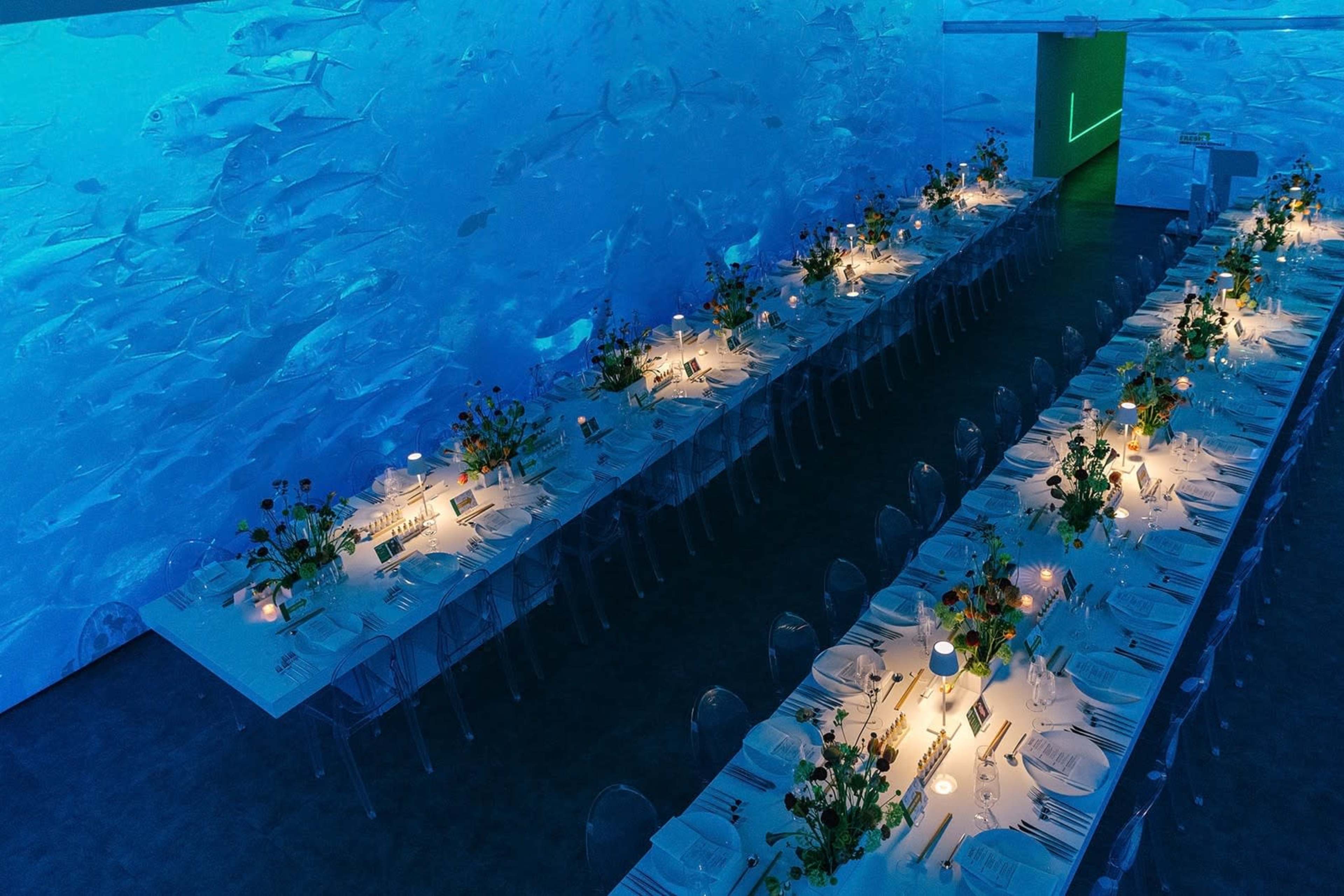 Lightbox | Immersive Event Space with Projection Mapping in Midtown NYC ...