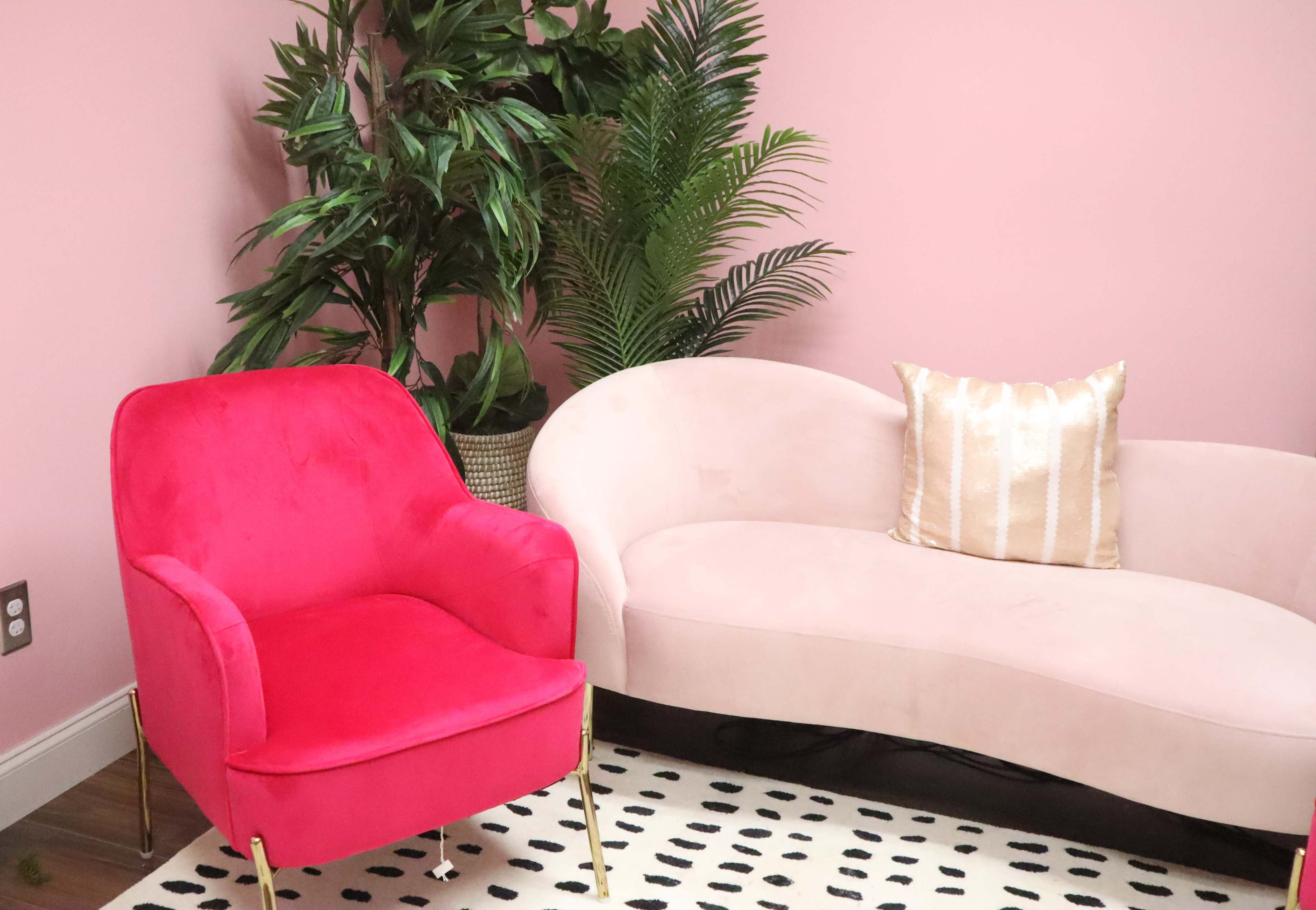 A pink wall features a pink couch and a bright pink chair next to a plant and a patterned rug.