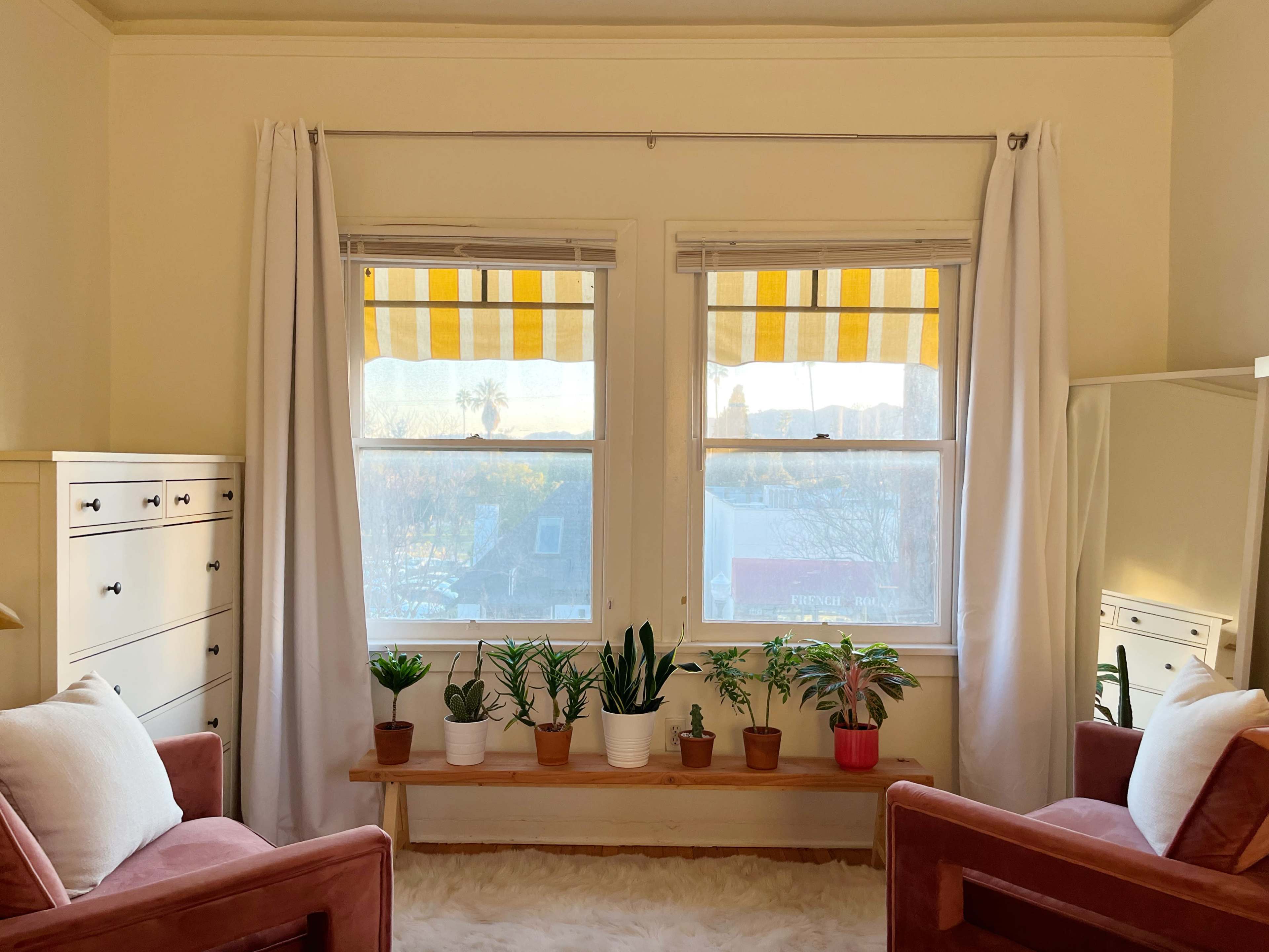 A cozy room with two armchairs facing a wooden shelf lined with potted plants under window treatments featuring yellow and white stripes.